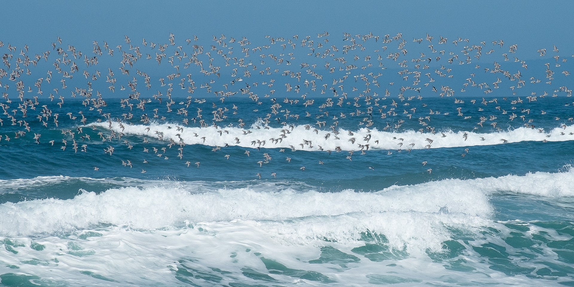 Point Reyes