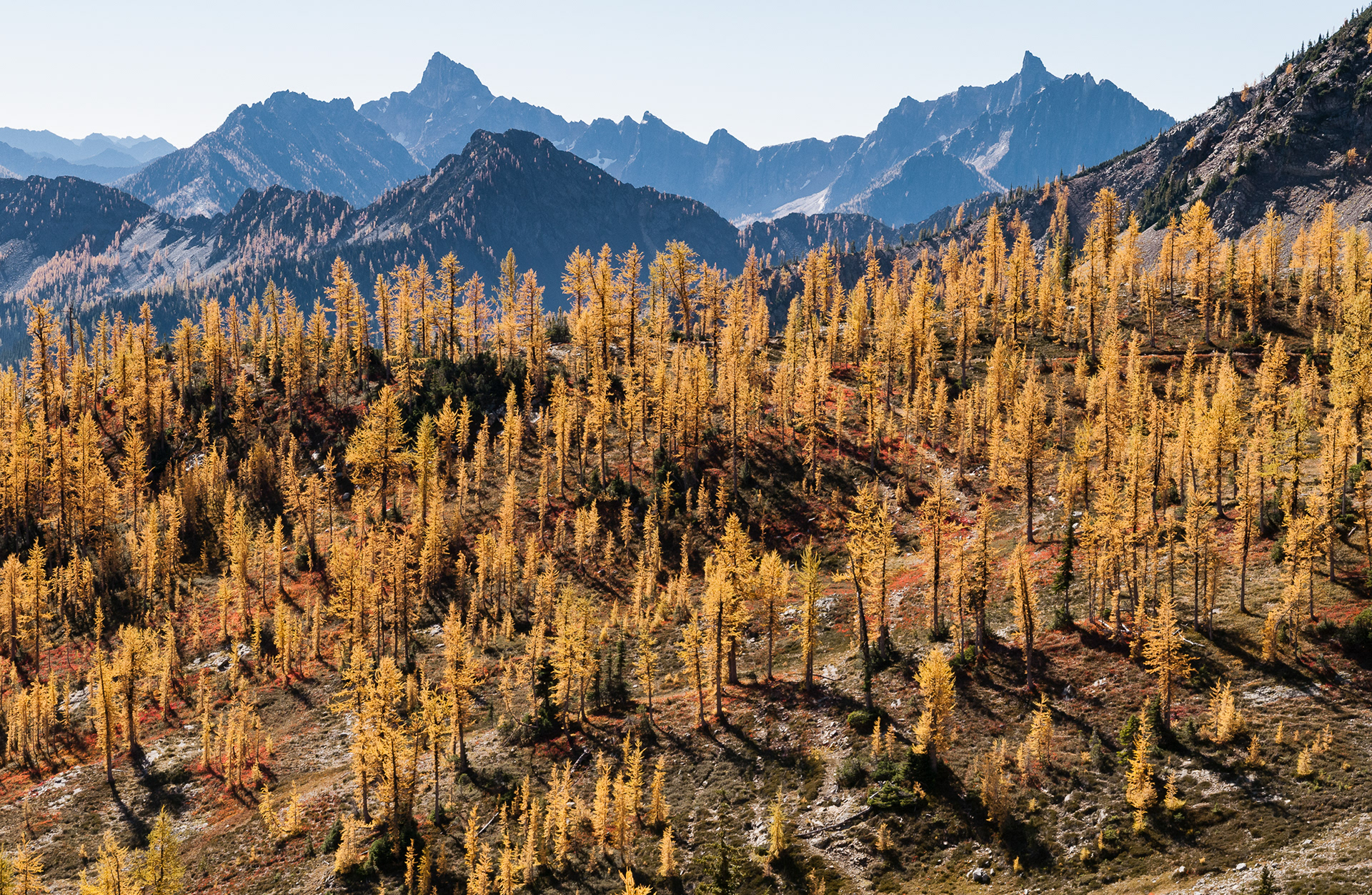 PCT south from Harts Pass