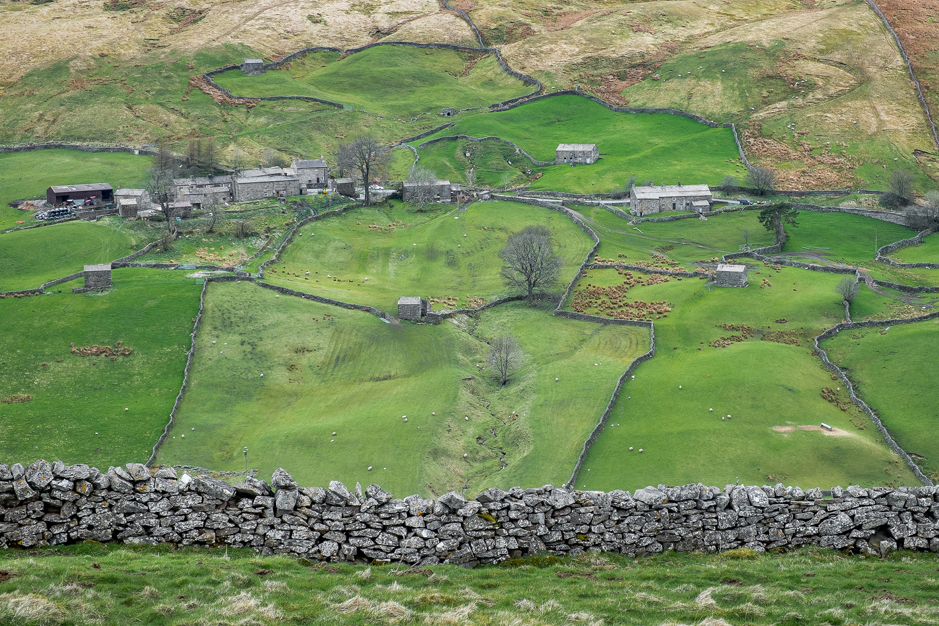 Muker to Thwaite walk