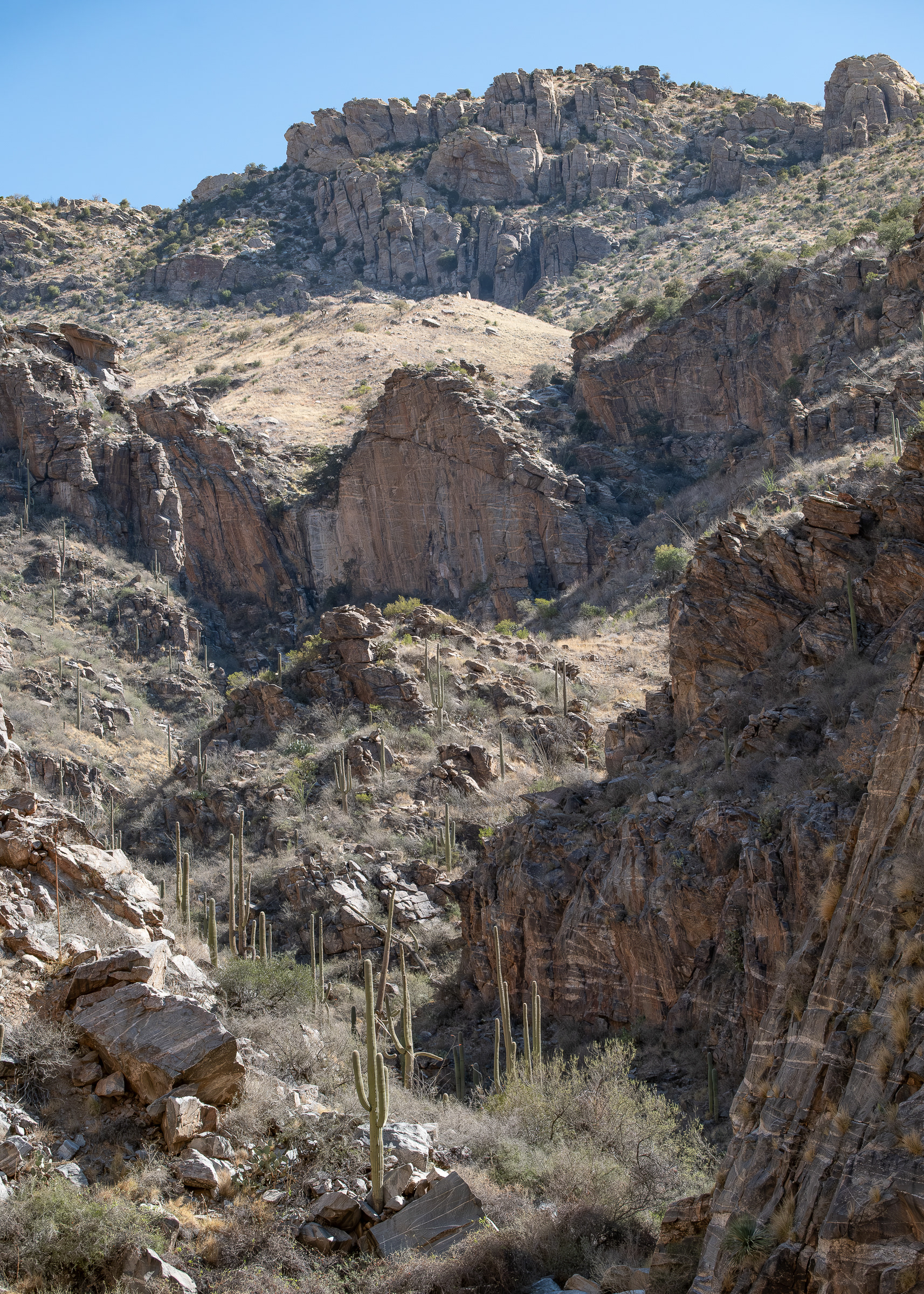 Ventana Canyon