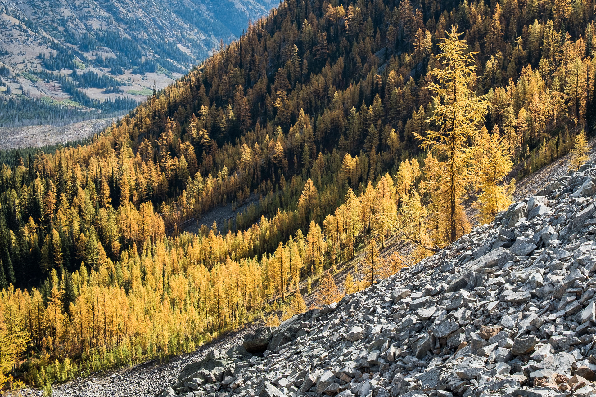 PCT south from Harts Pass