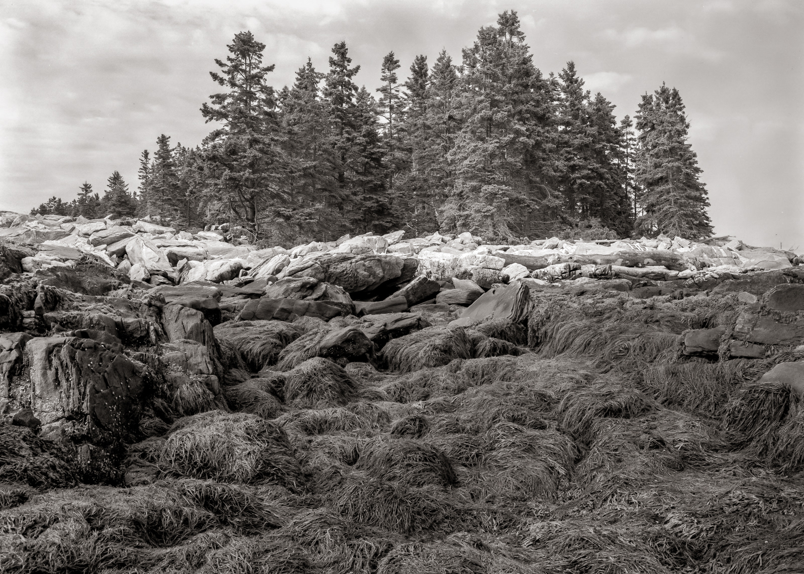 Wood Island, Georgetown, Maine