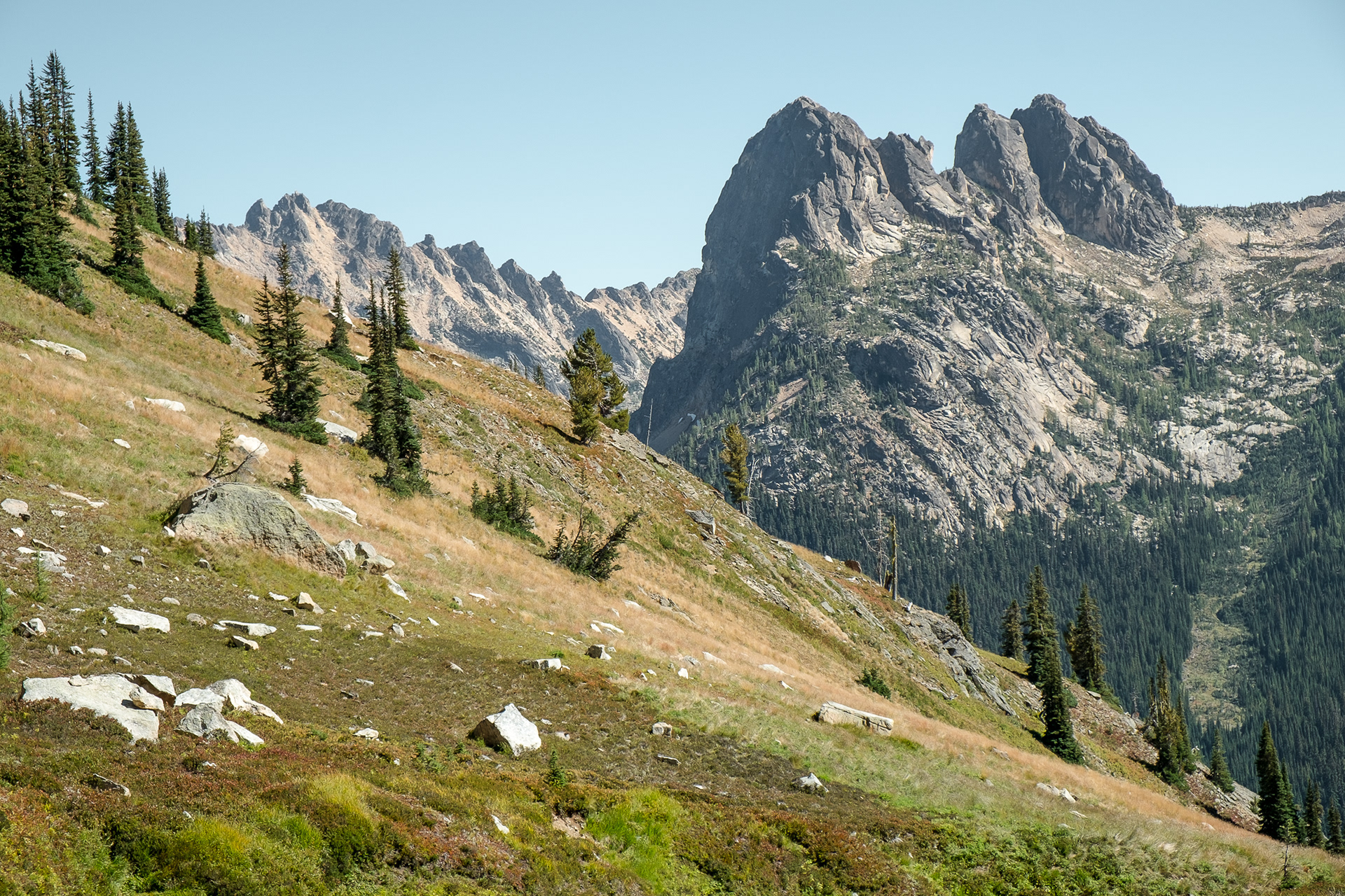 Liberty Bell from Cutthroat basin