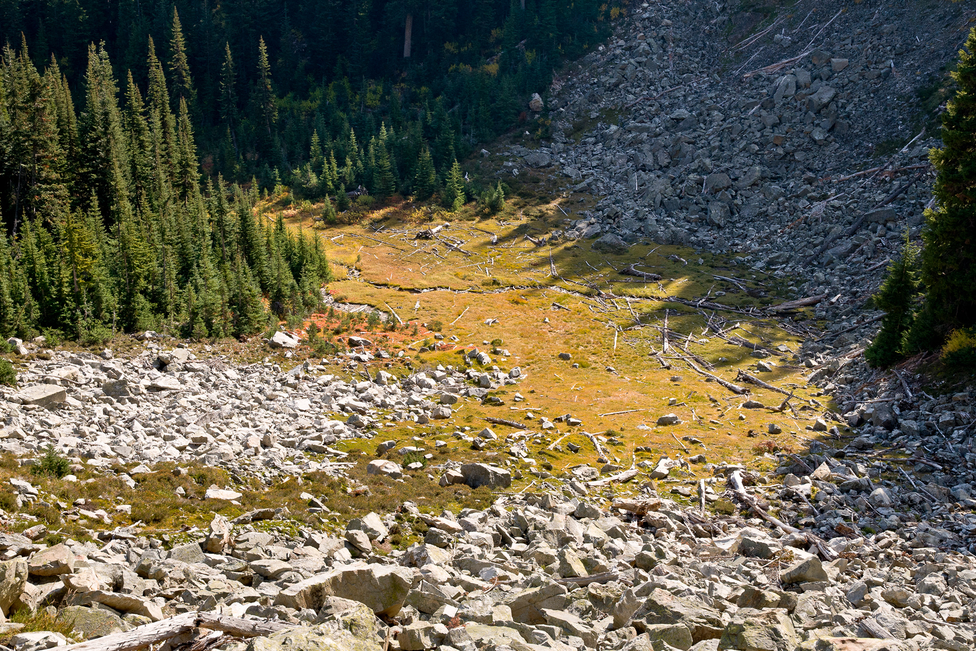 Maple Pass trail