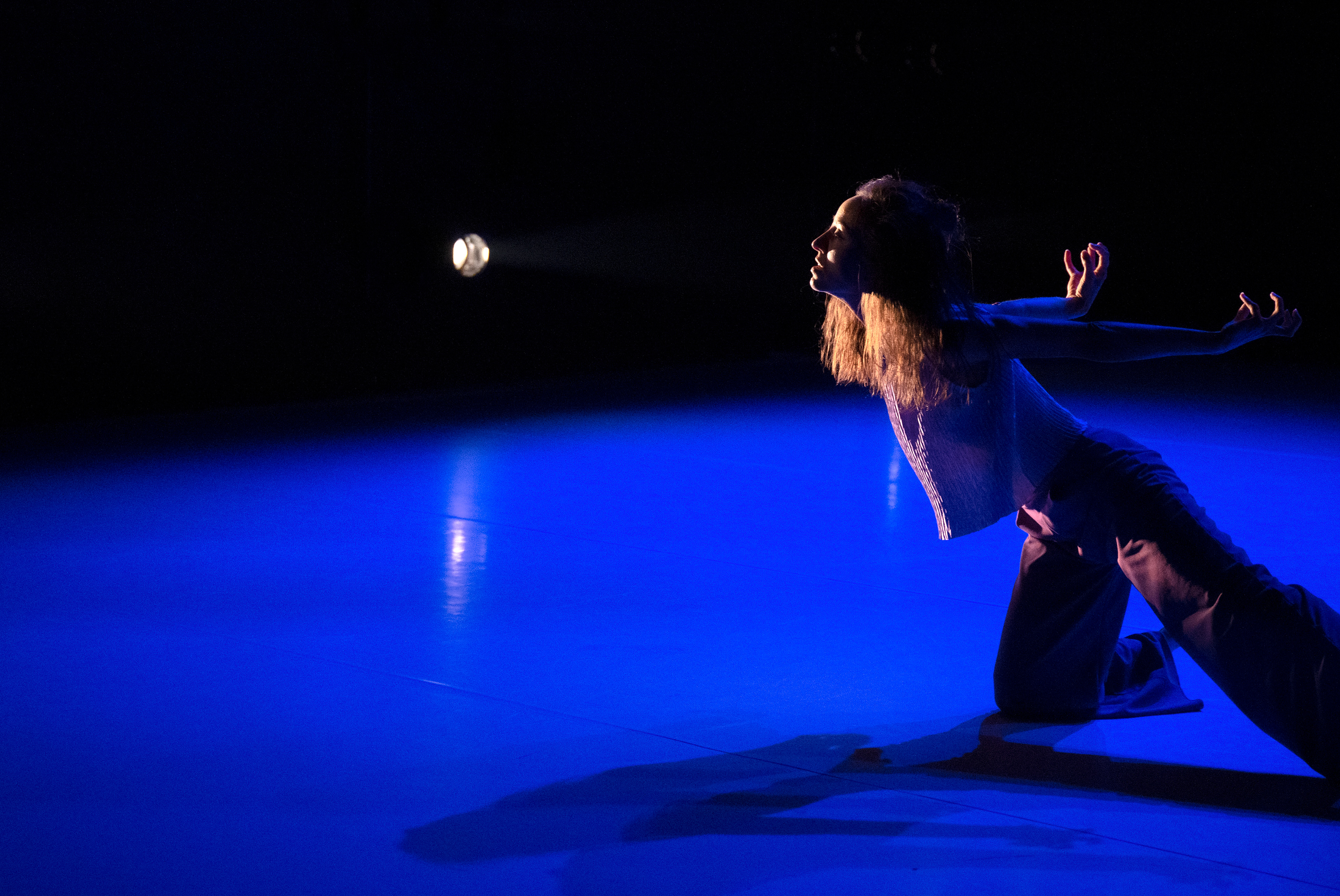 Picture by Marianne Menke