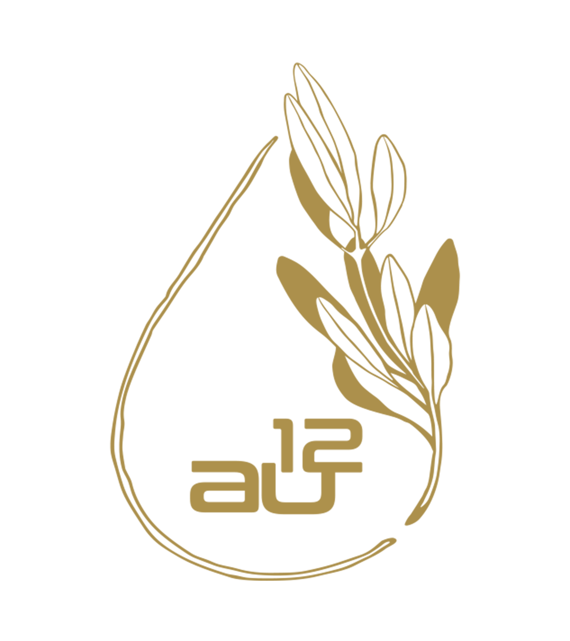 www.au12.ch