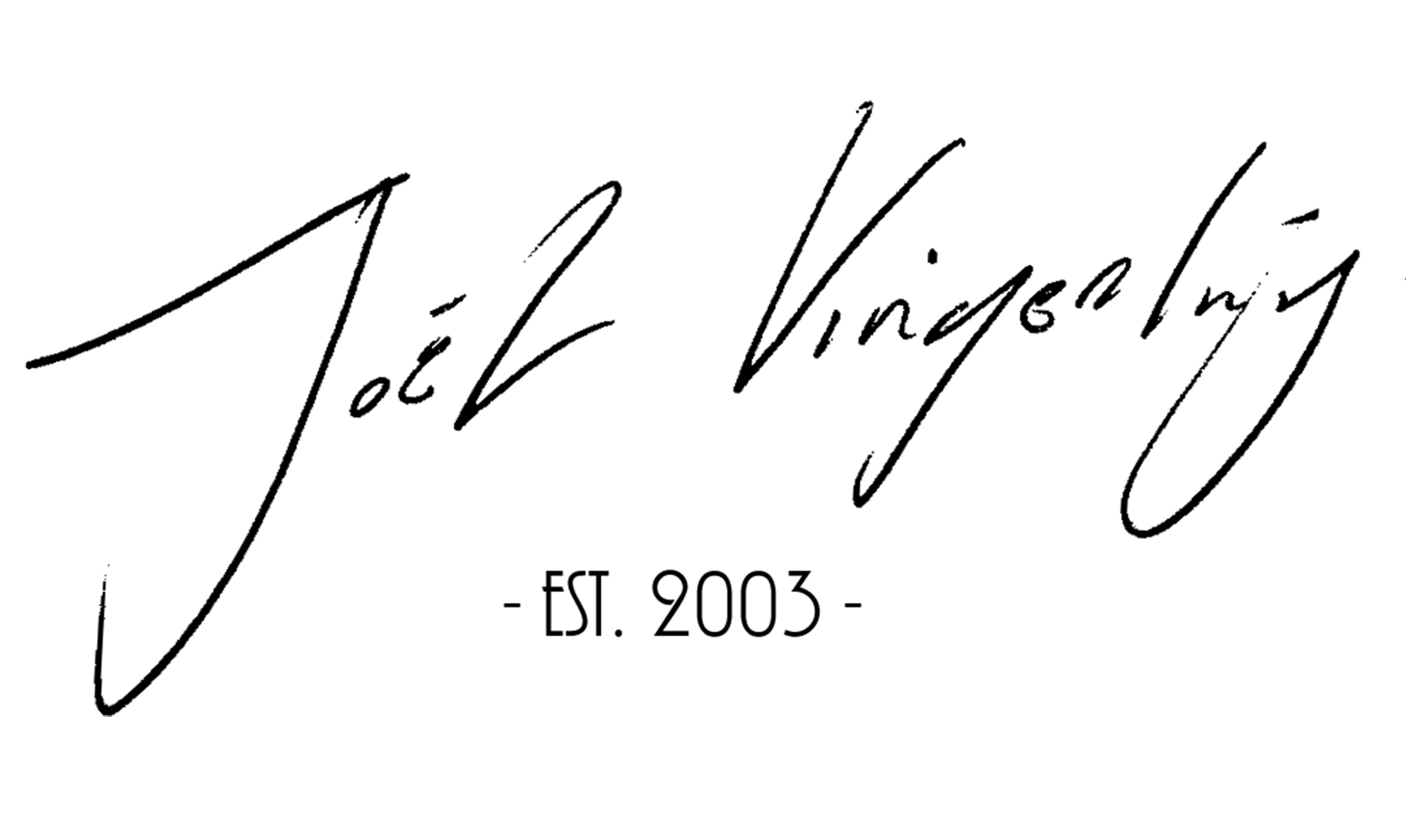 fotograaf joel vingerling