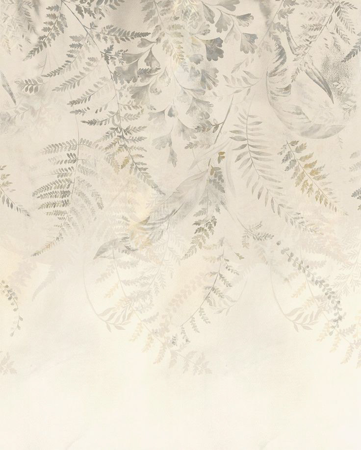 Fern