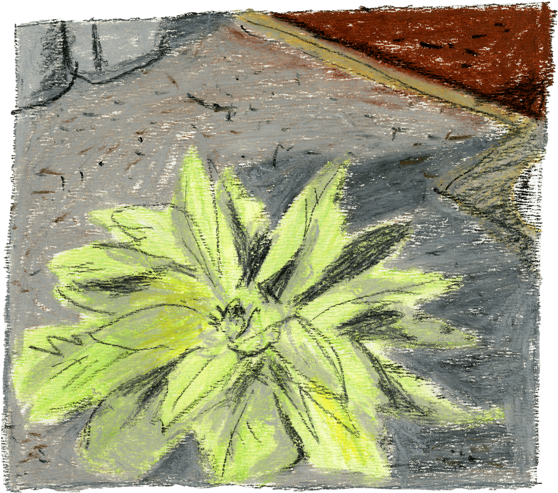 PŘÍSTAV // 2022, oil pastel, illustration for an authors book