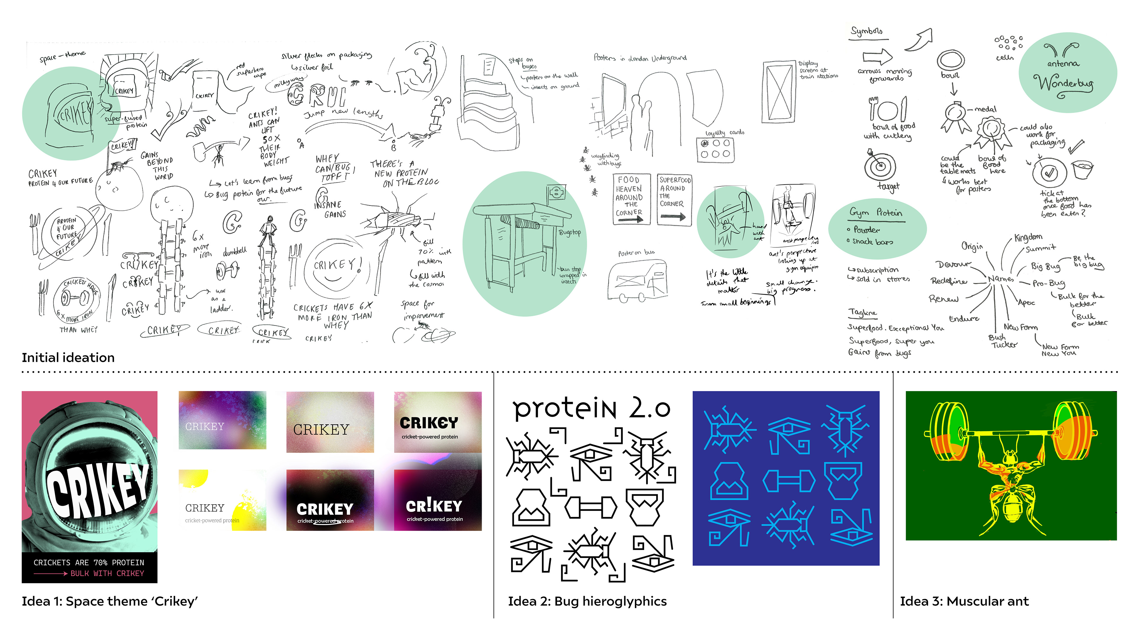 Initial ideation