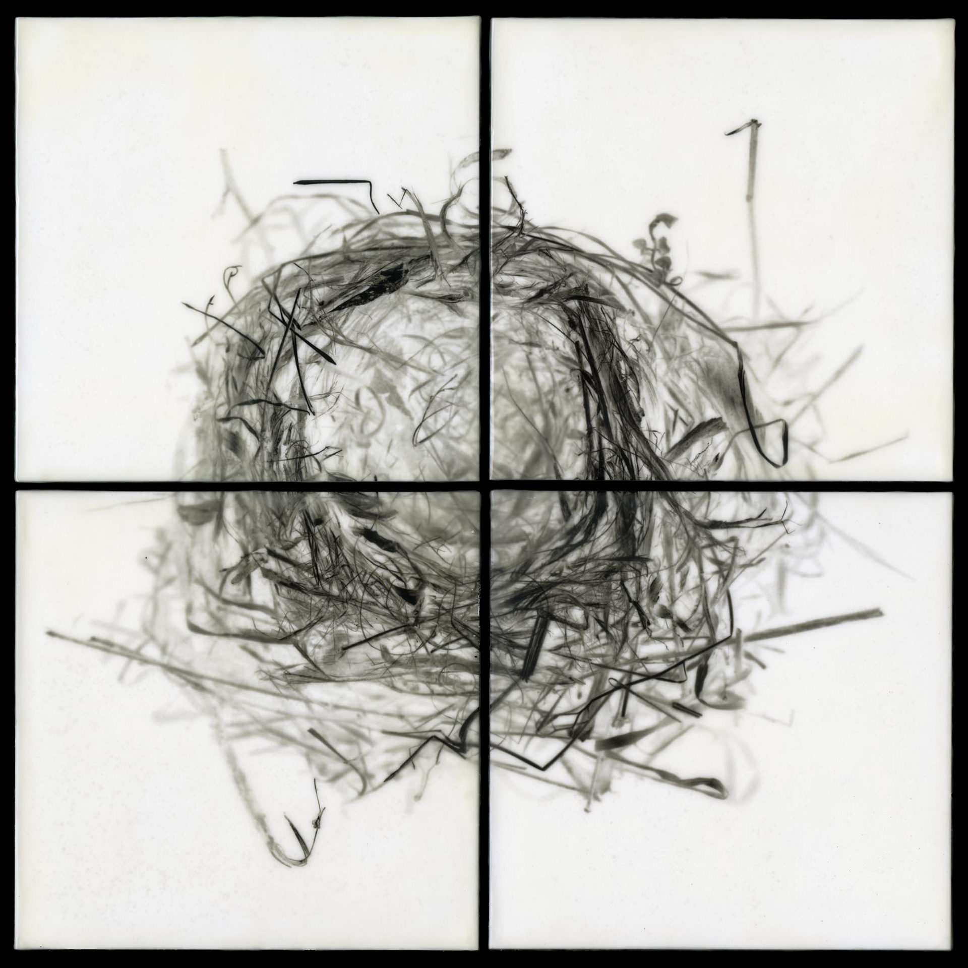 Nest XIII, 2012, 32x32"