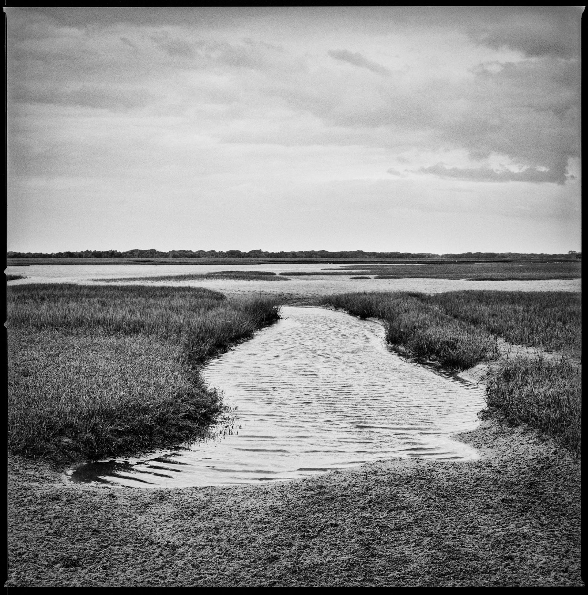 Beach Creek Tidal Ponds, 2016