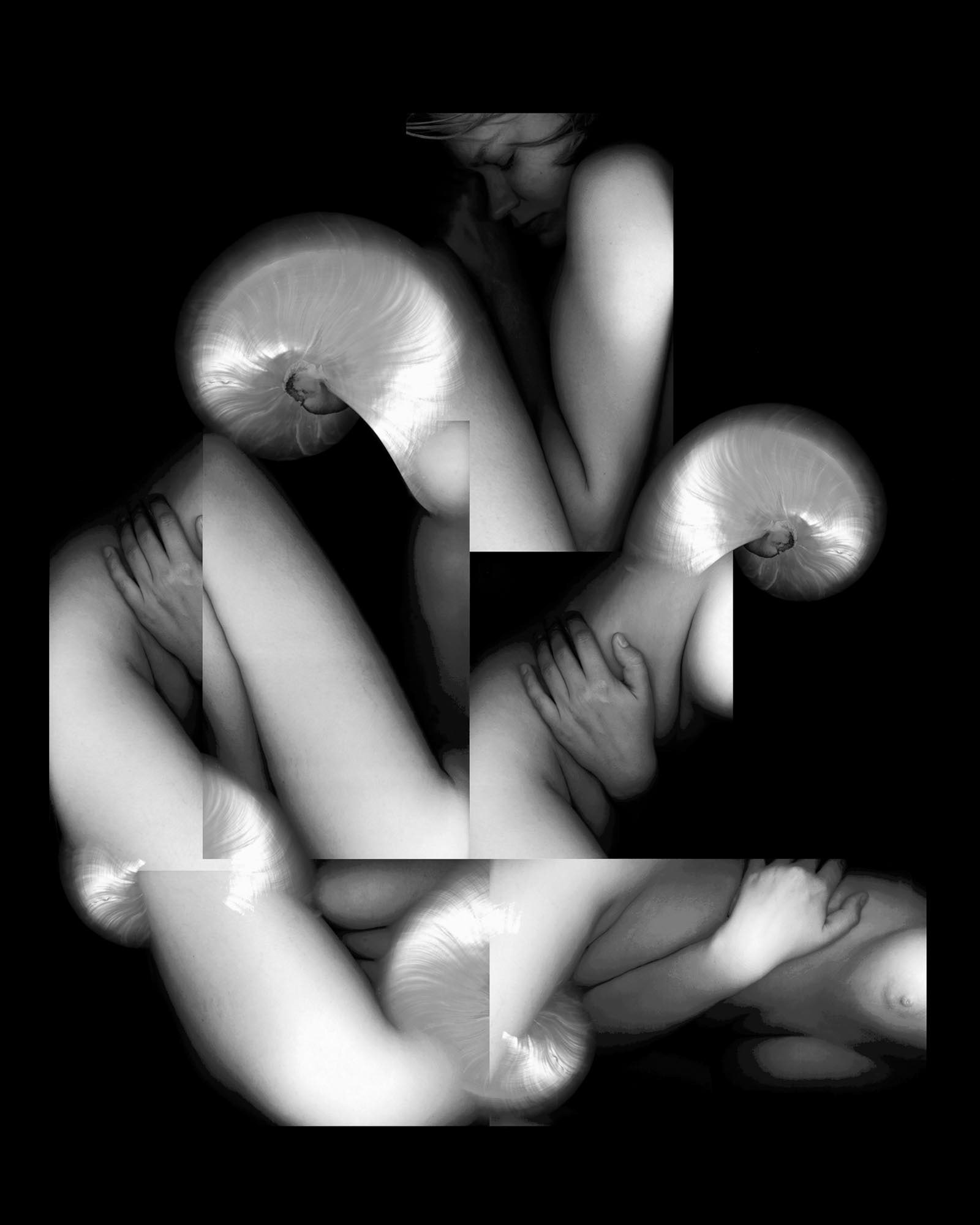 Nautilus, 2000, Iris print, 47x35"