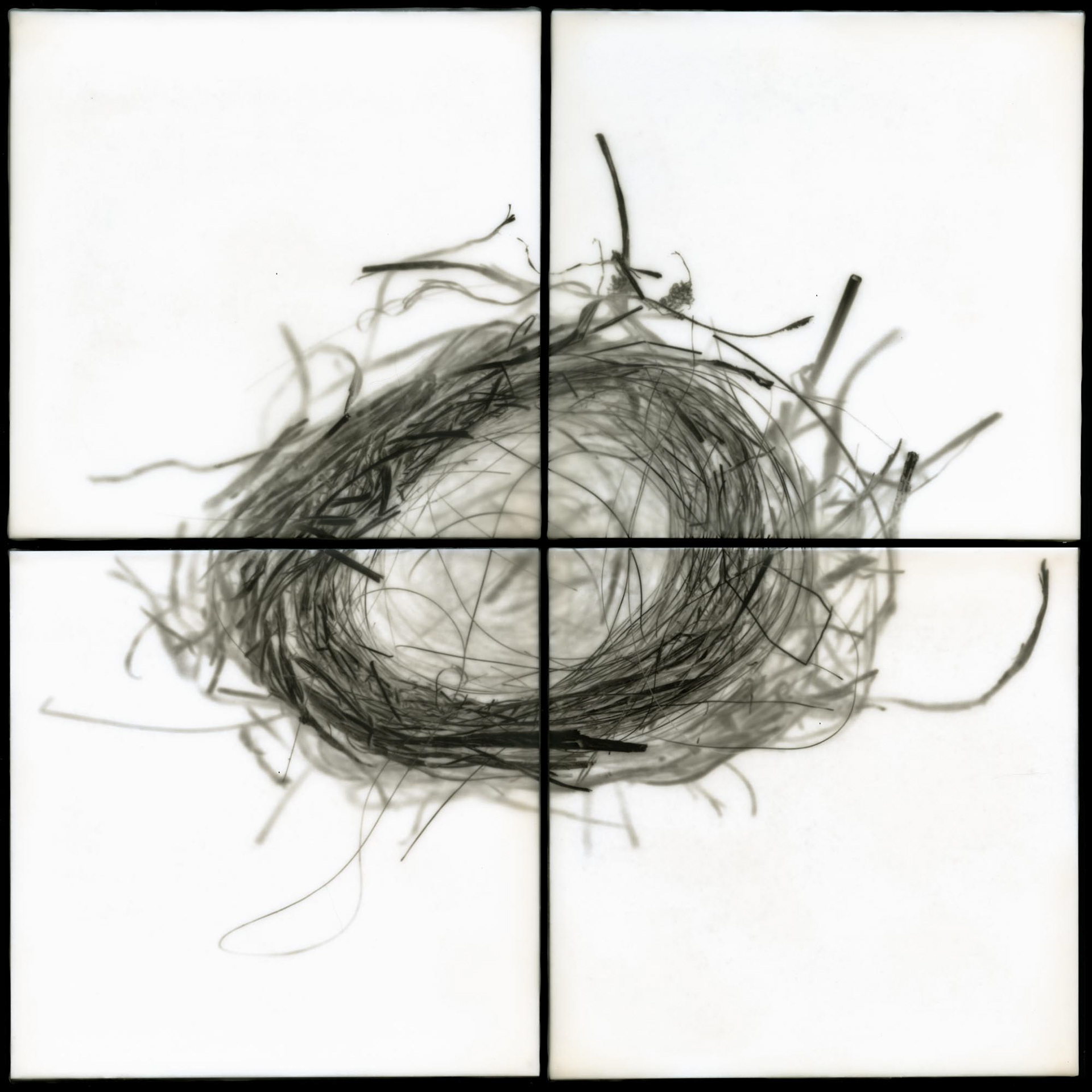 Nest IX, 2012, 32x32"
