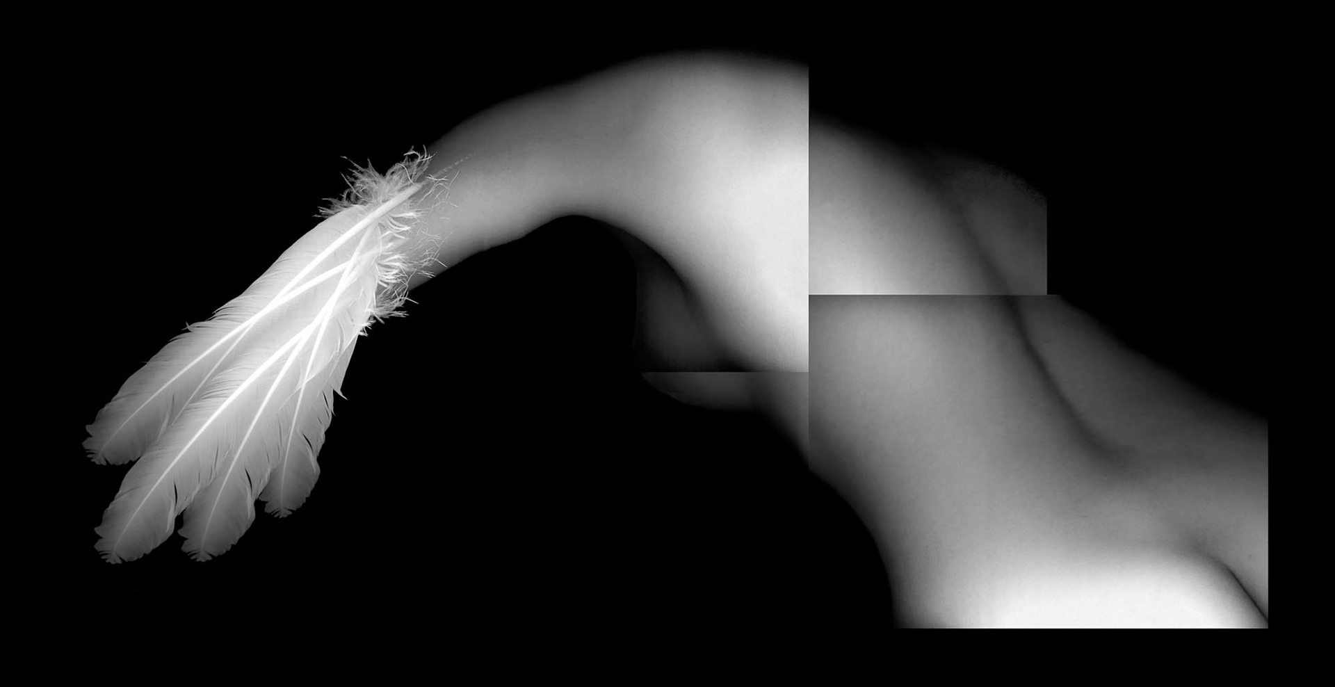 Growing Wings, 2002, archival pigment print, 11x21"