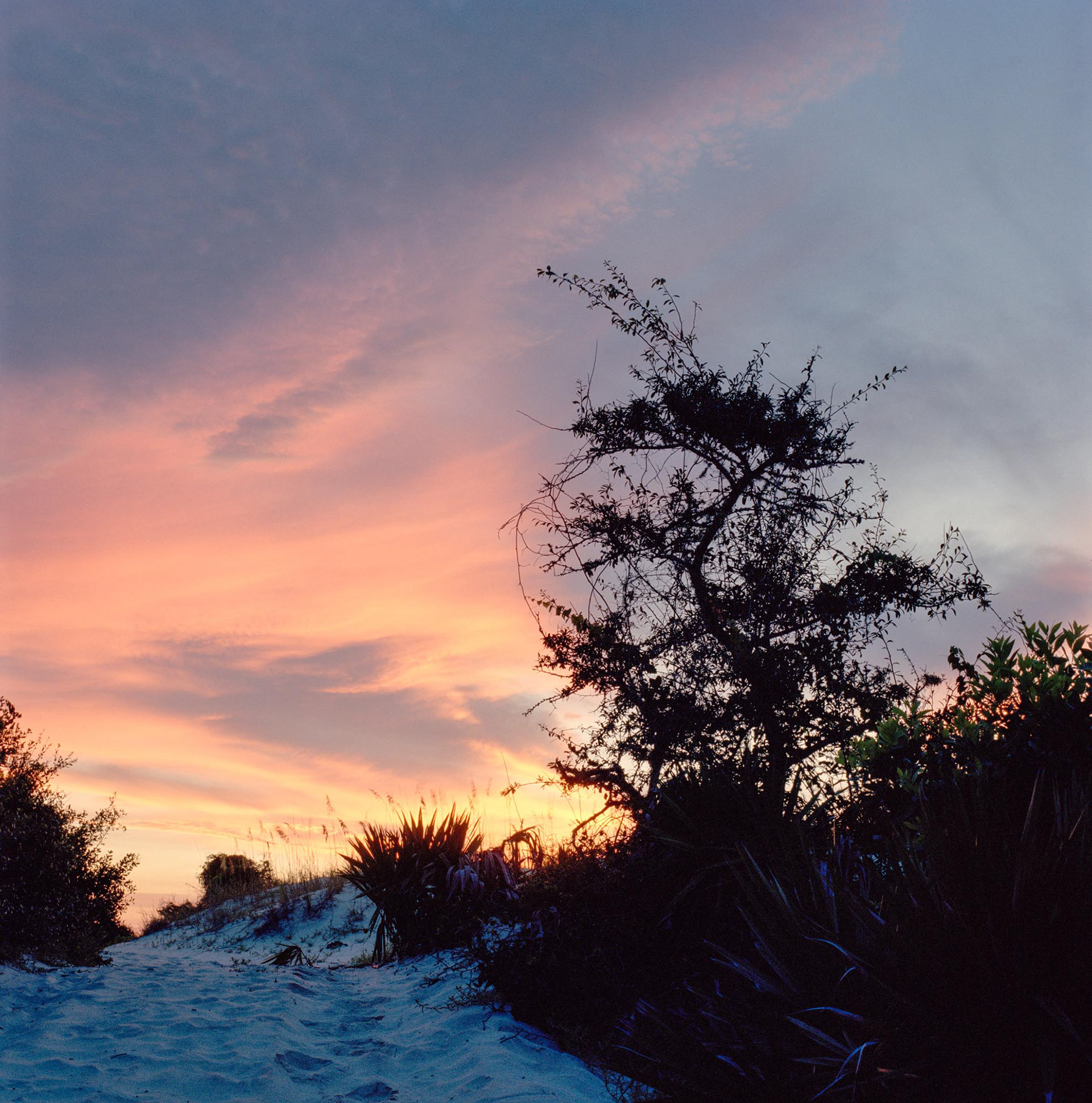 South Cut at Dawn, 2018