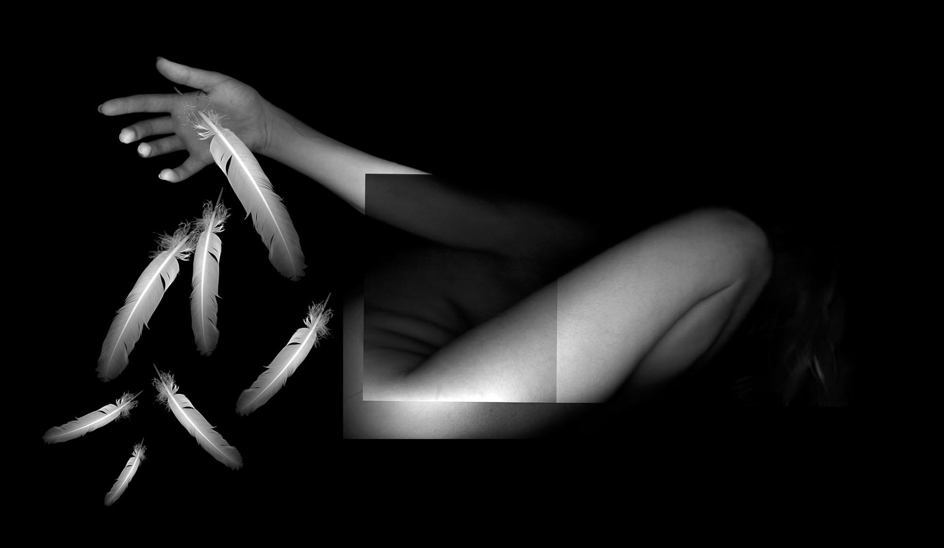 Letting Go, 2004, archival pigment print, 12x21.5"