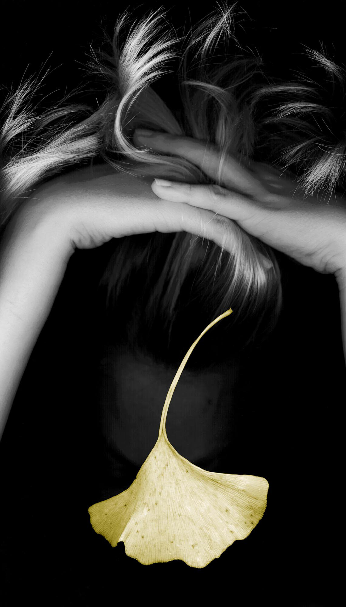 Mentality, 1999, Iris print, 34x19.5"