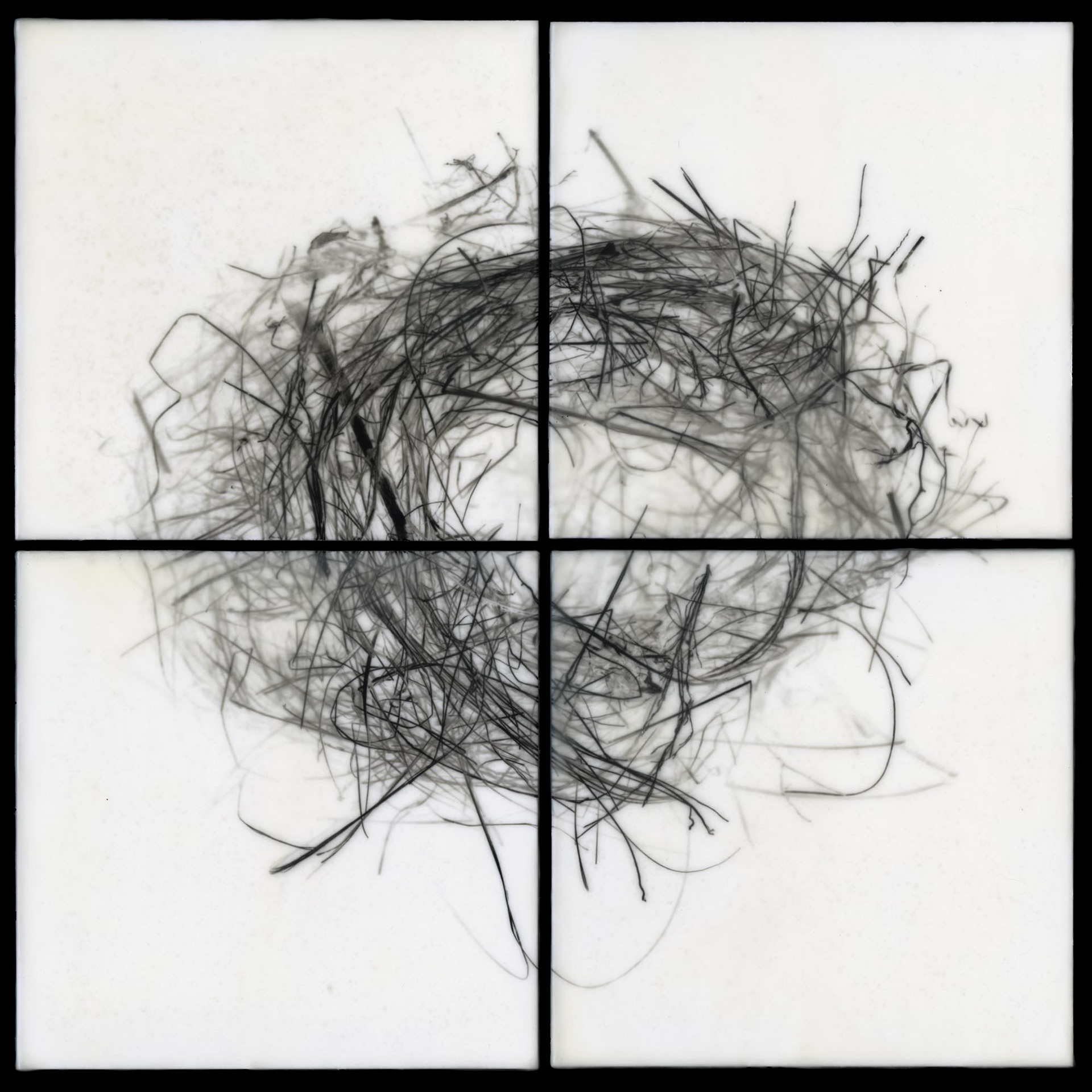 Nest XIV, 2012, 32x32"