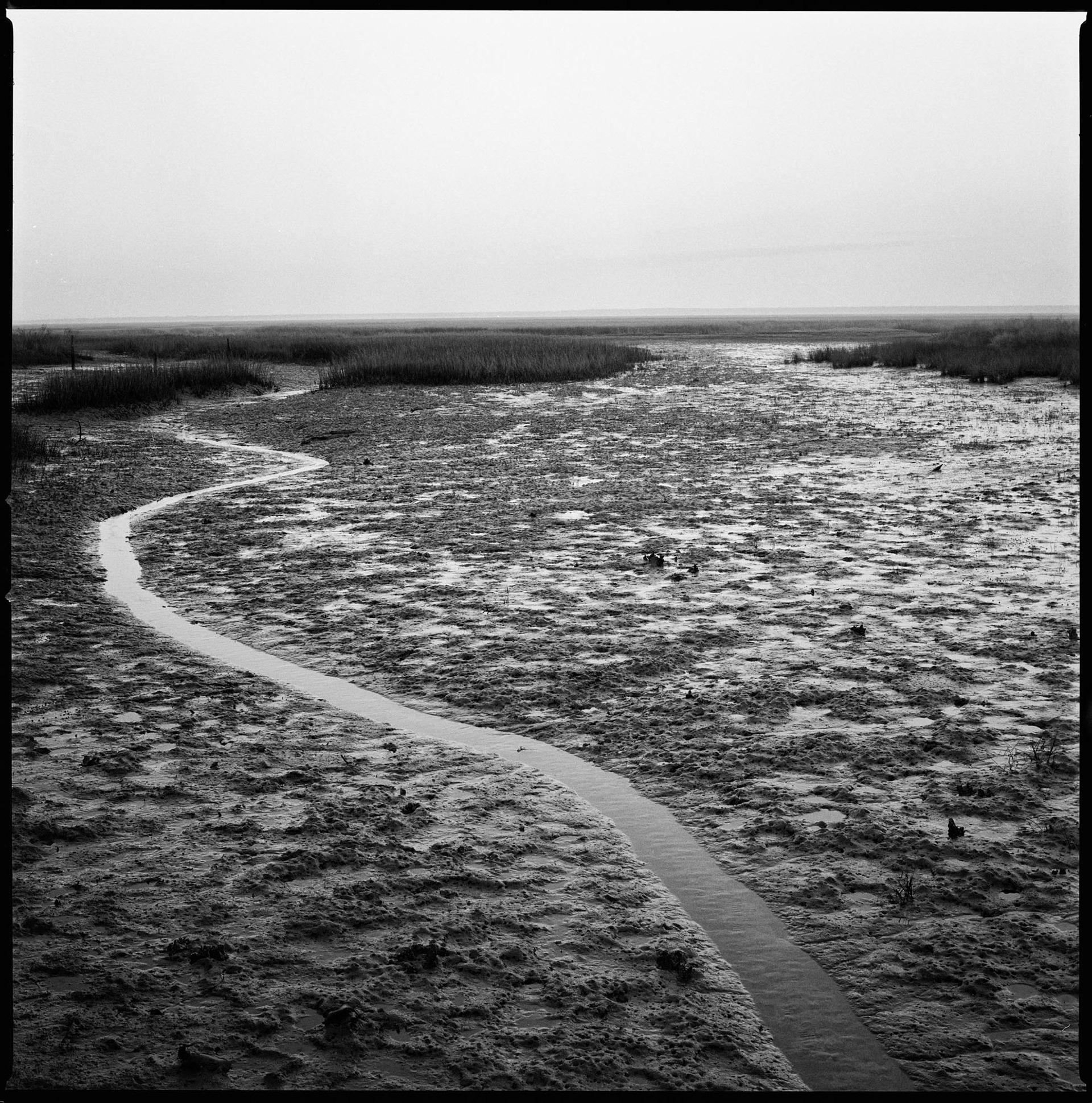 Malkintooh Creek at Low Tide, Wilderness Area, 2016
