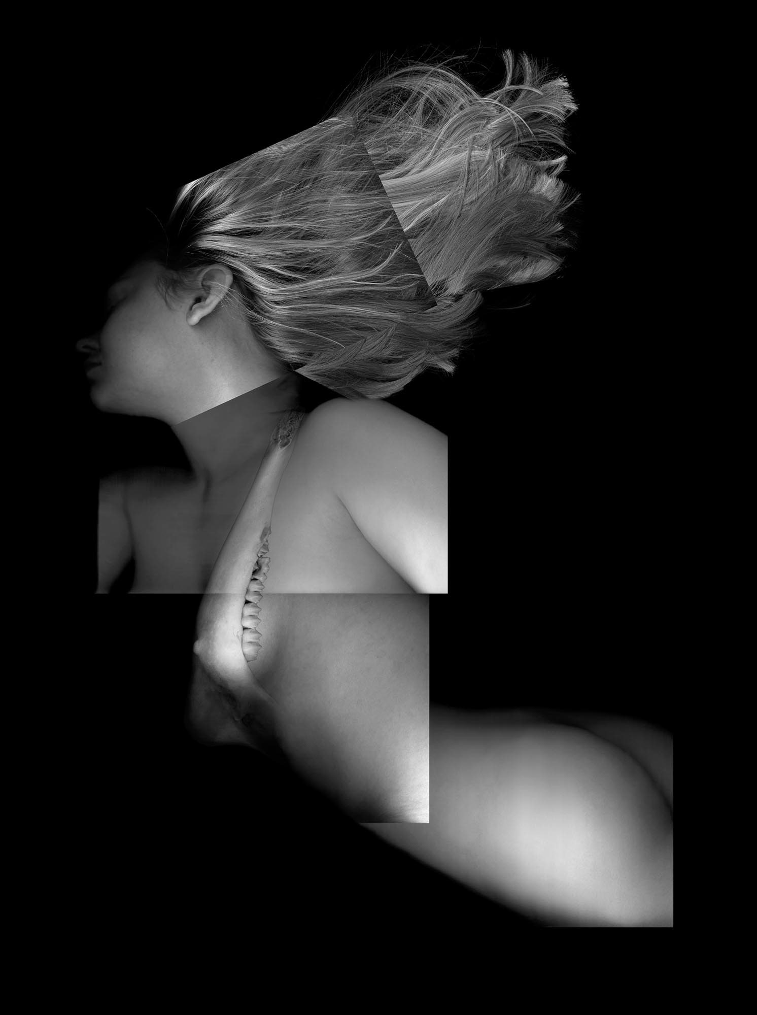 Nothing Natural, 2005, archival pigment print, 21.5x16"