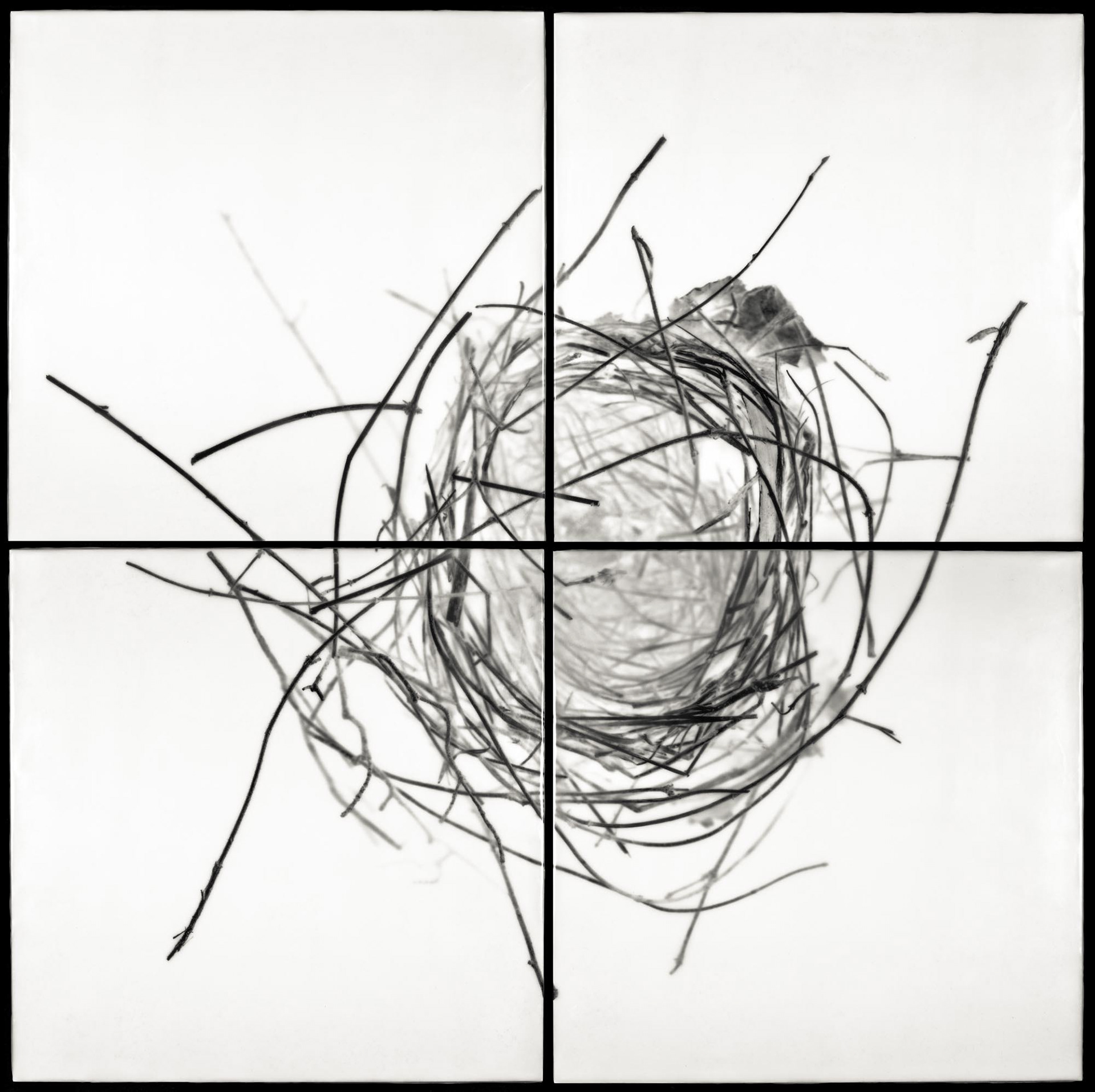 Nest XVIII, 2012, 32x32"
