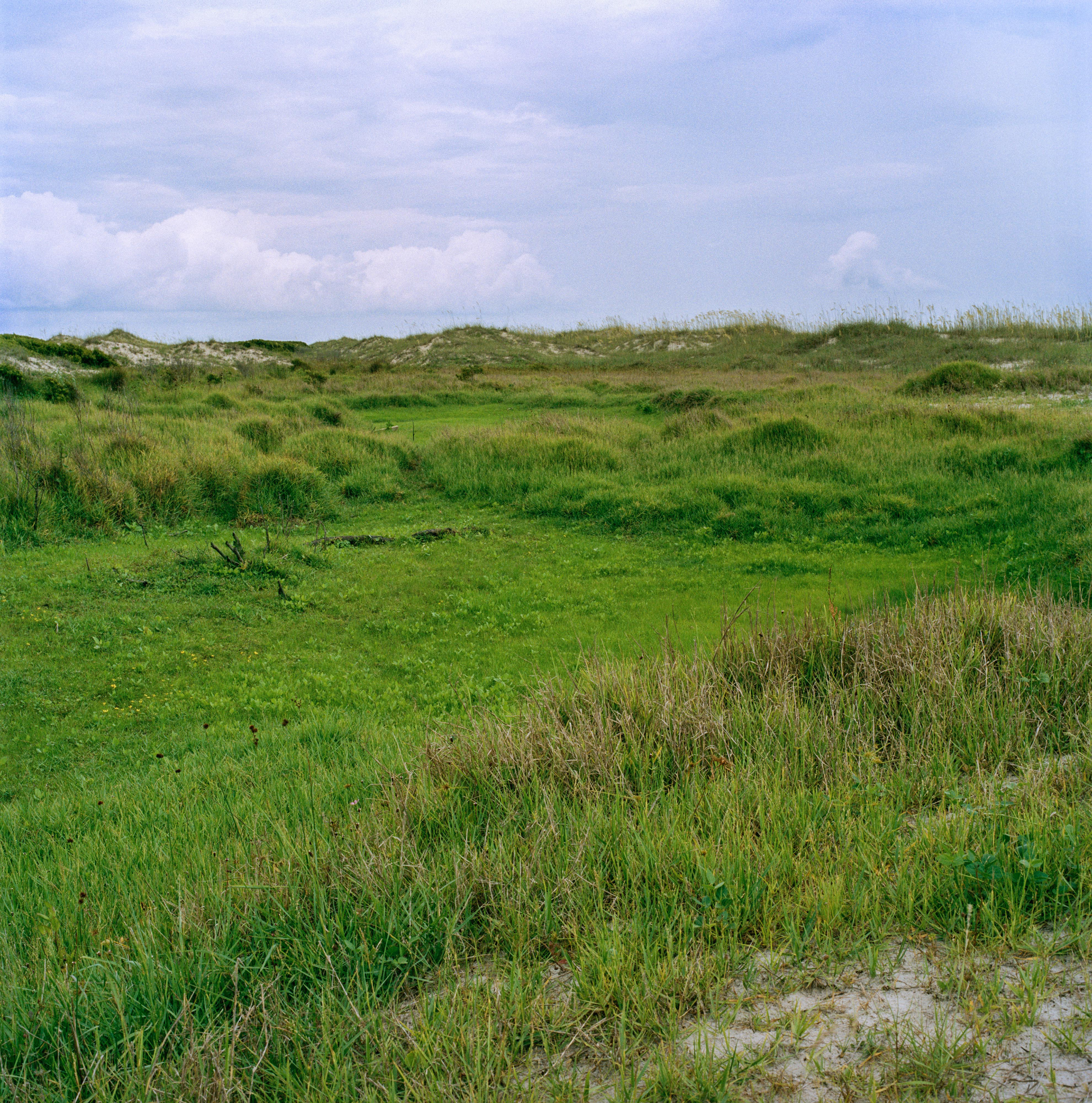 Freshwater Slough & Primary Dunes, South Cut, 2021