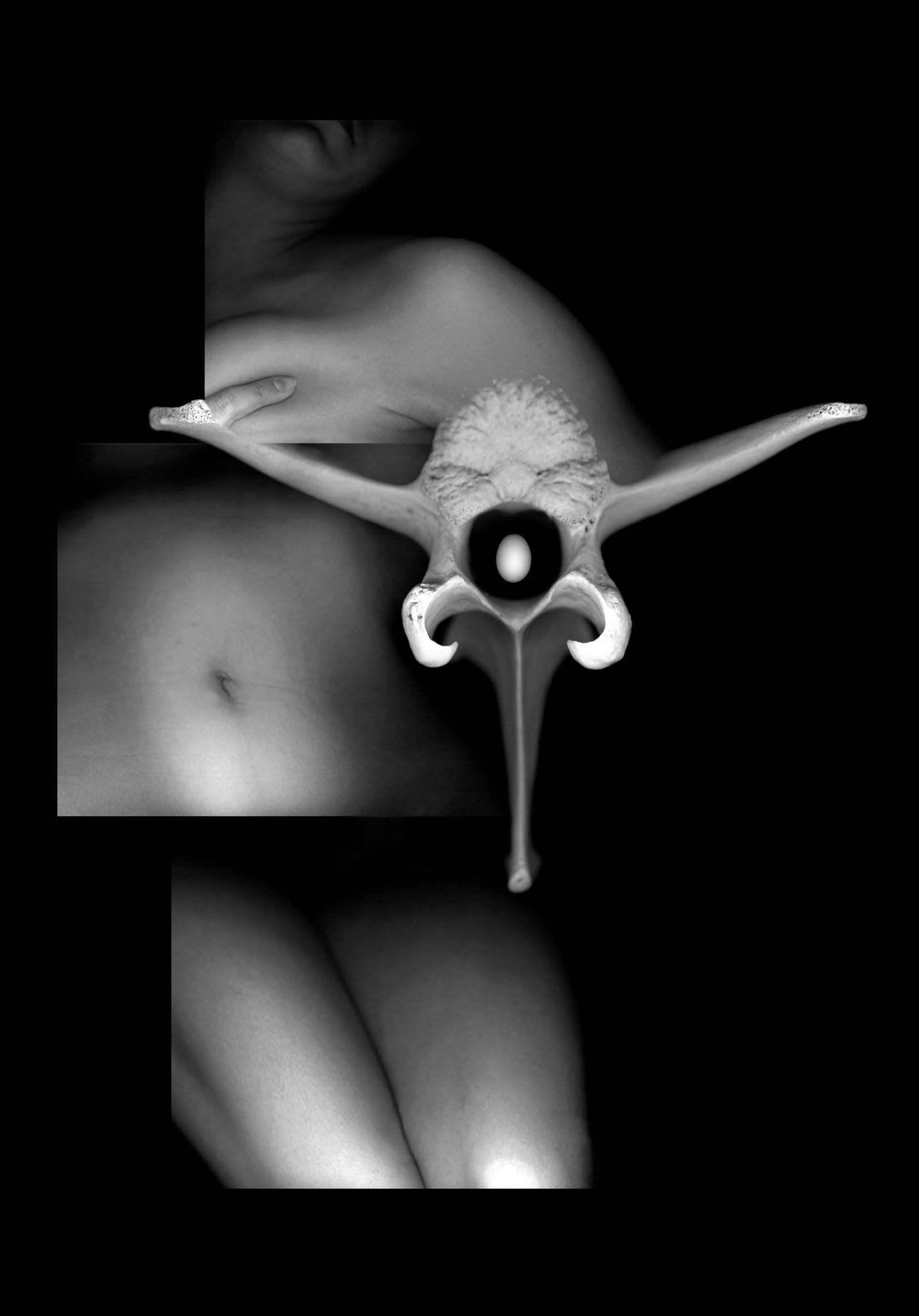 From Within Me, 2004, archival pigment print, 21.5x15"