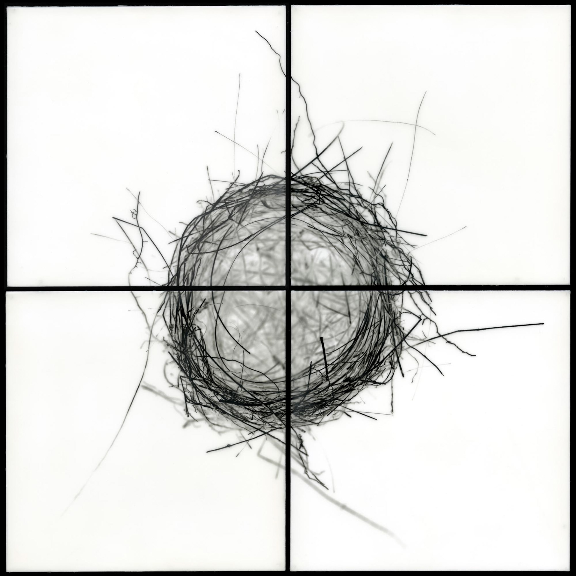 Nest II, 2009, 32x32"