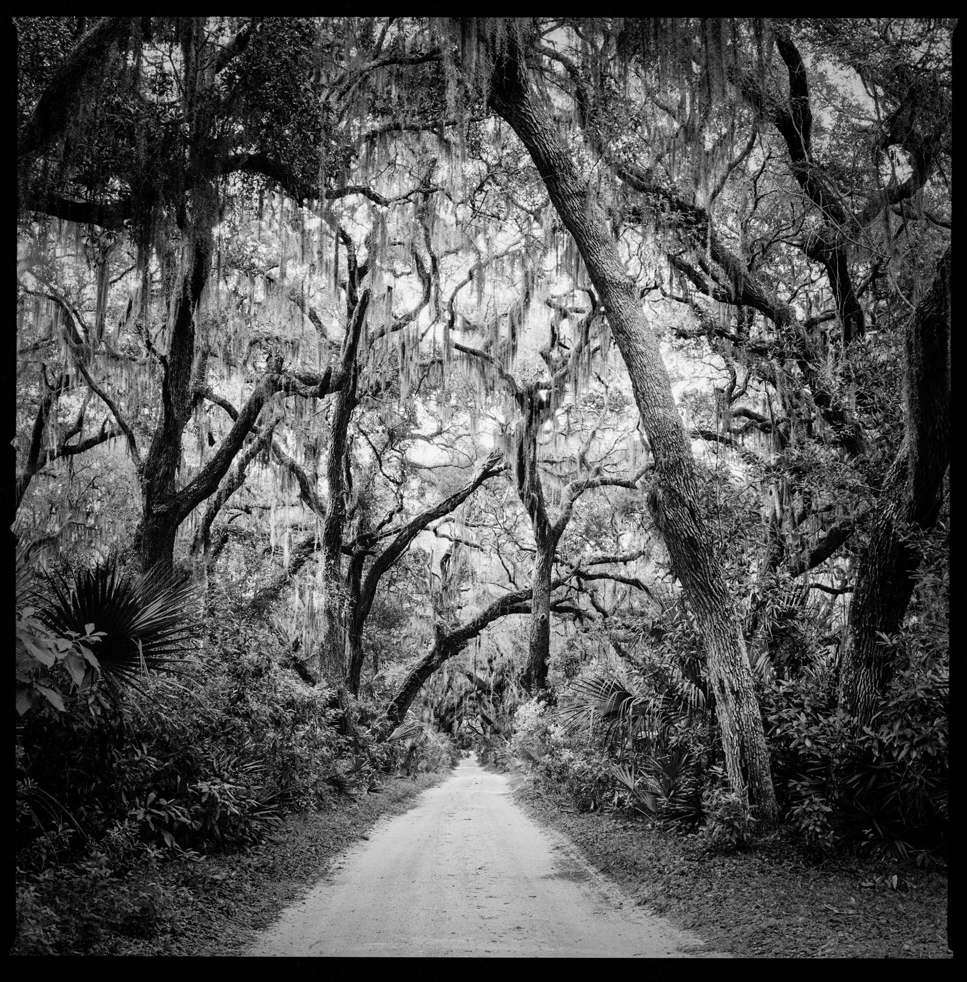 Main Road Near Greyfield, 2016