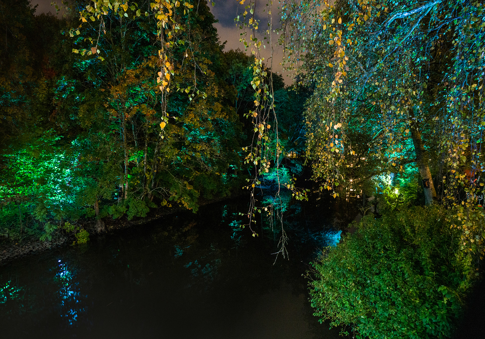 Site 4 | Bron | Döda poeters sällskap