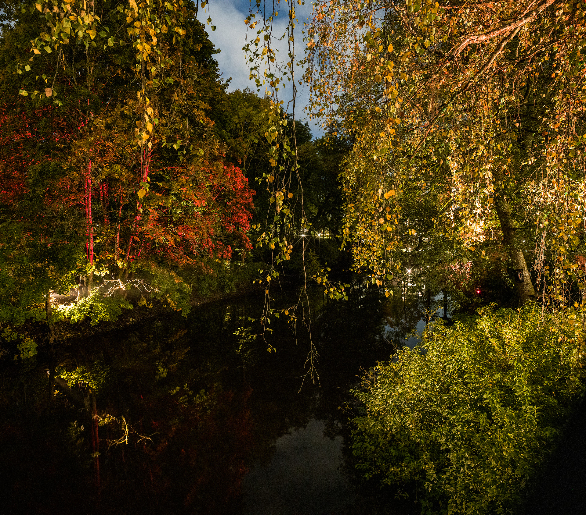Site 4 | Bron | Döda poeters sällskap