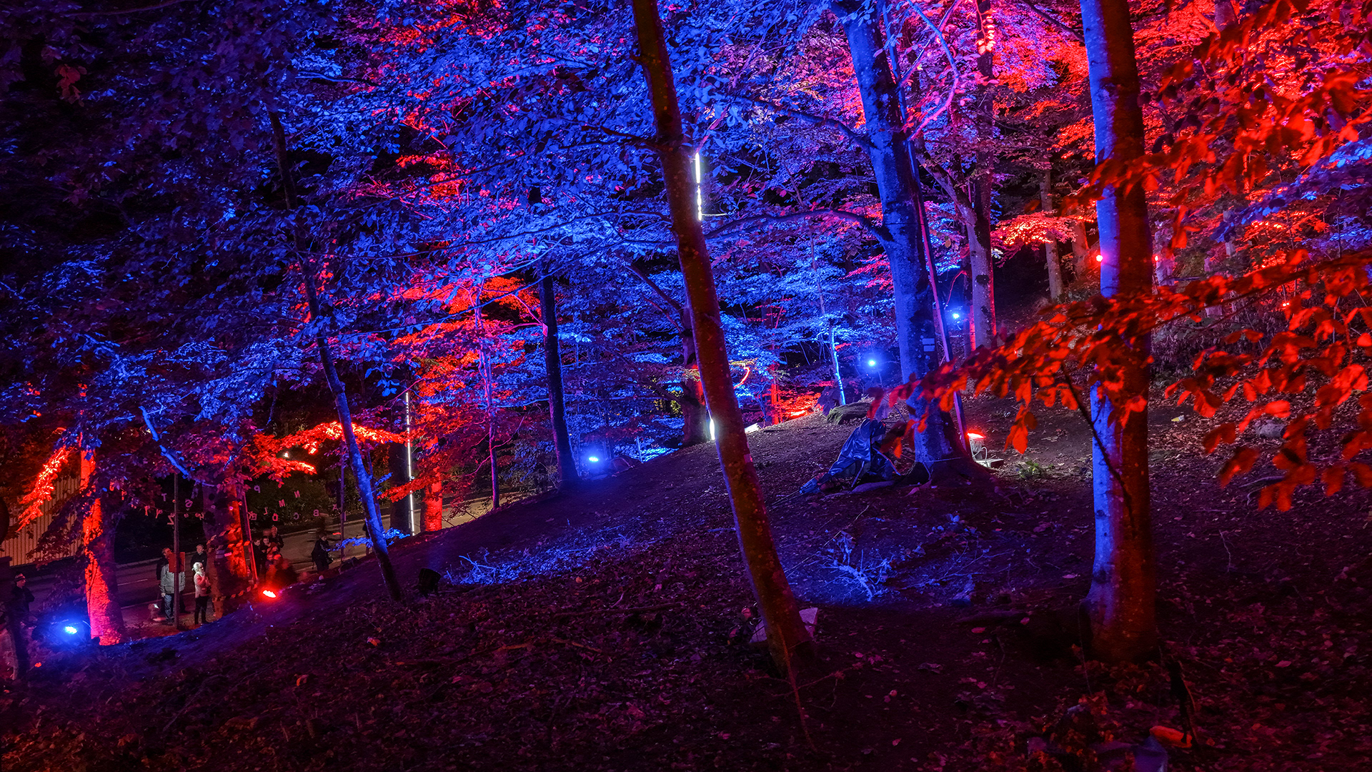 Site 3 | Nolhaga Berg | Stranger Things