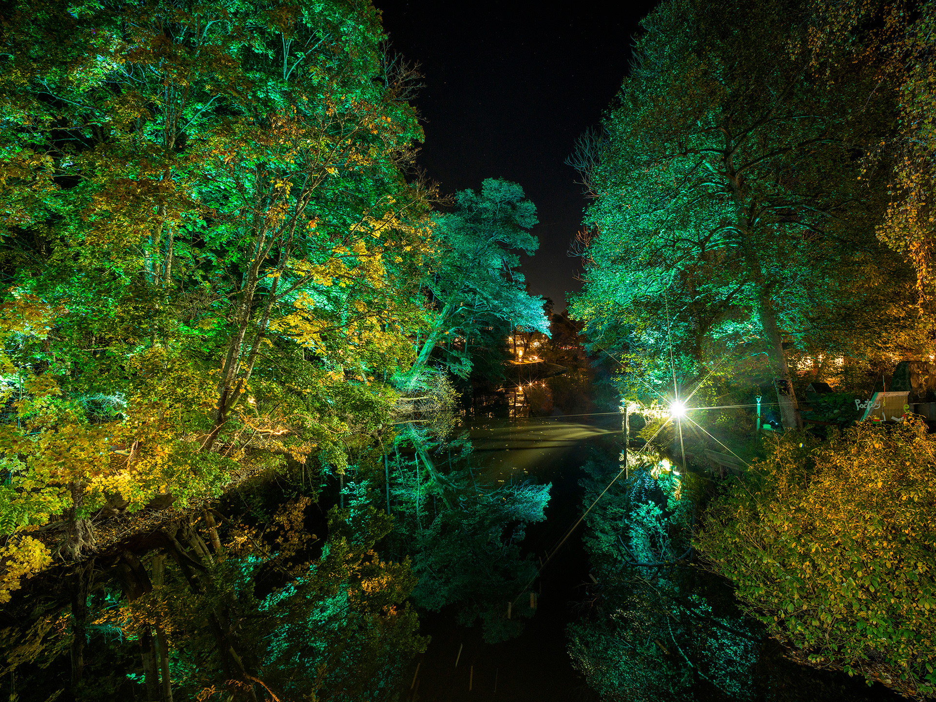 Site 4 | Bron | Döda poeters sällskap