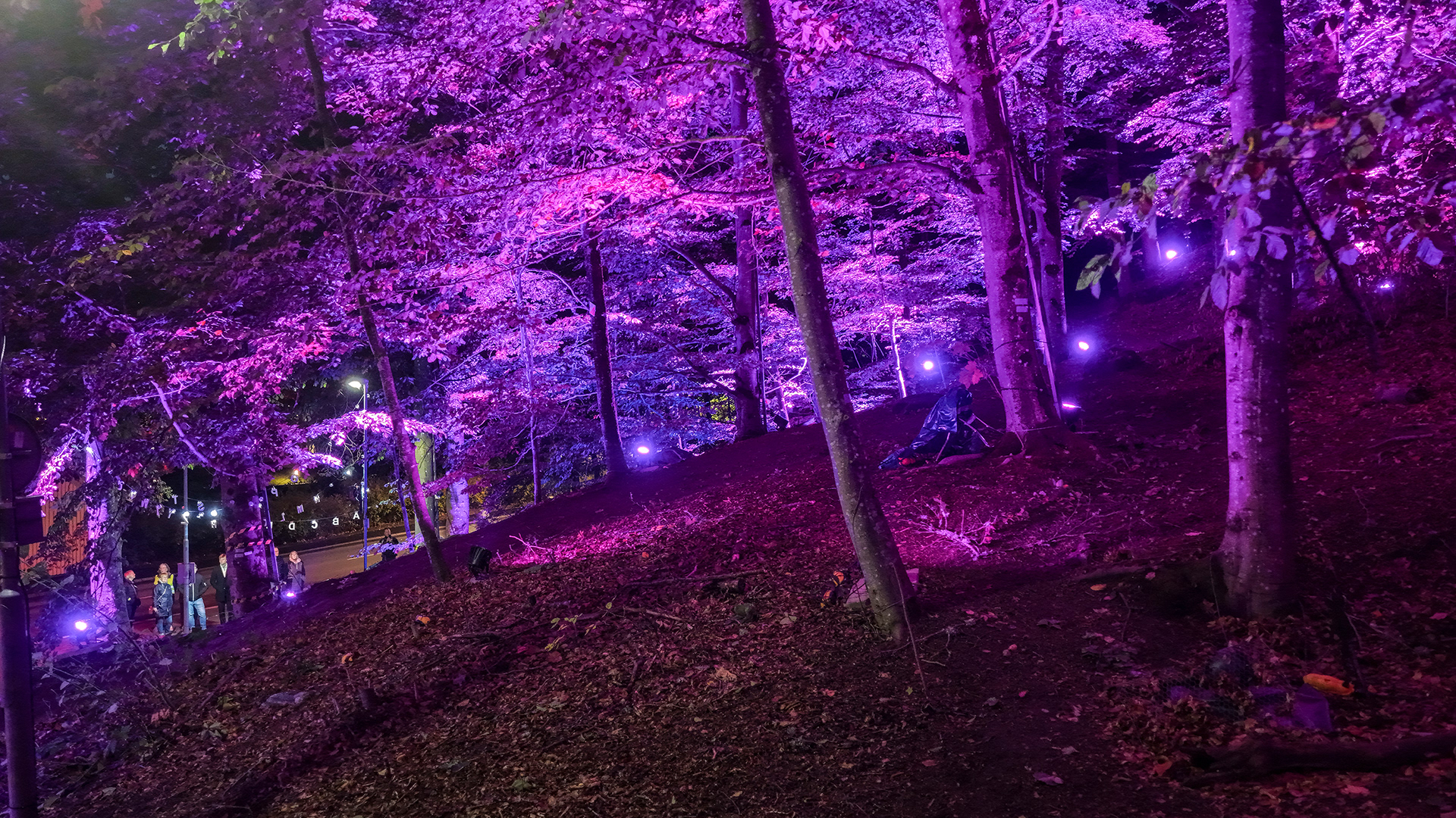 Site 3 | Nolhaga Berg | Stranger Things