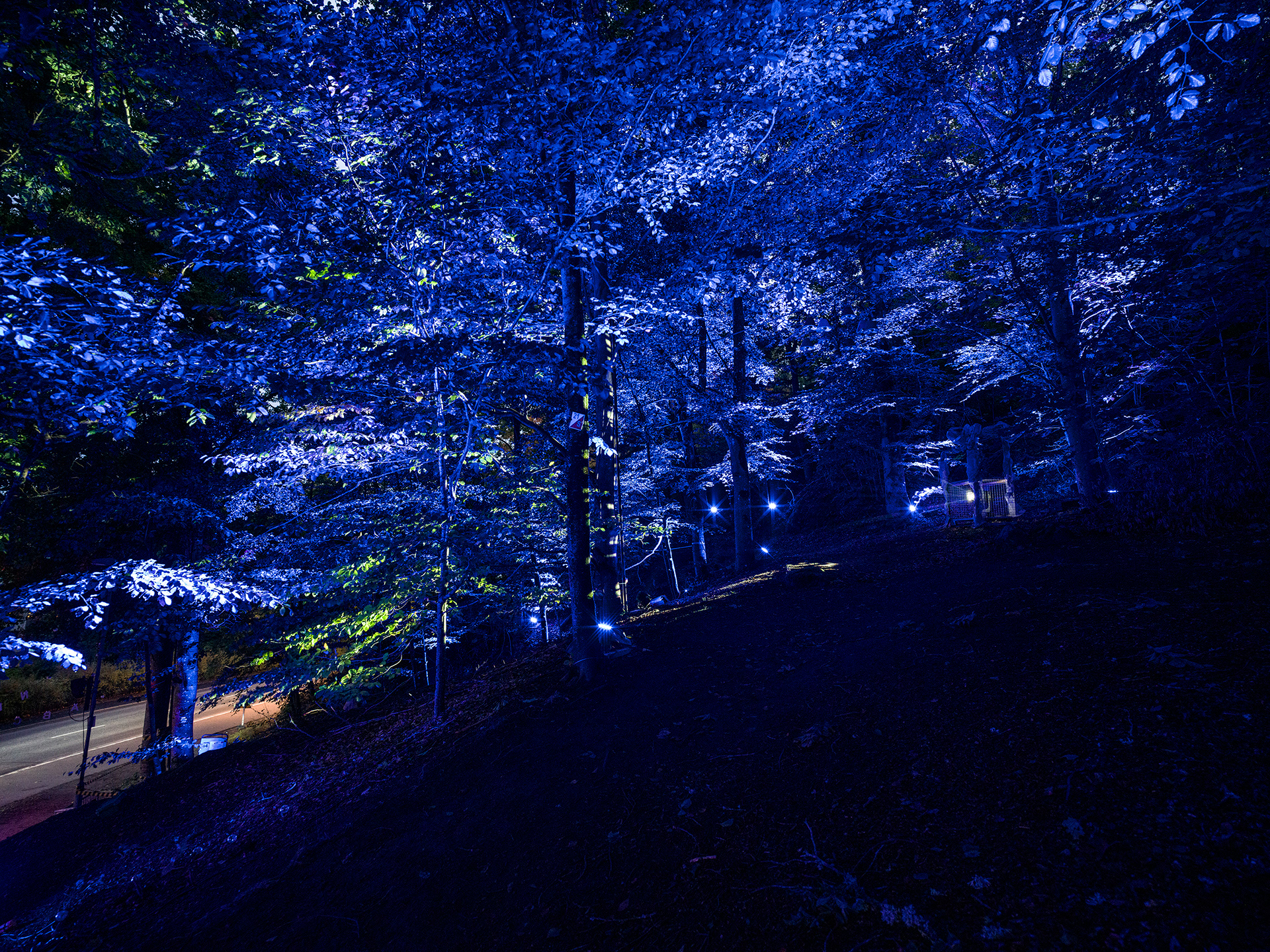 Site 3 | Nolhaga Berg | Stranger Things