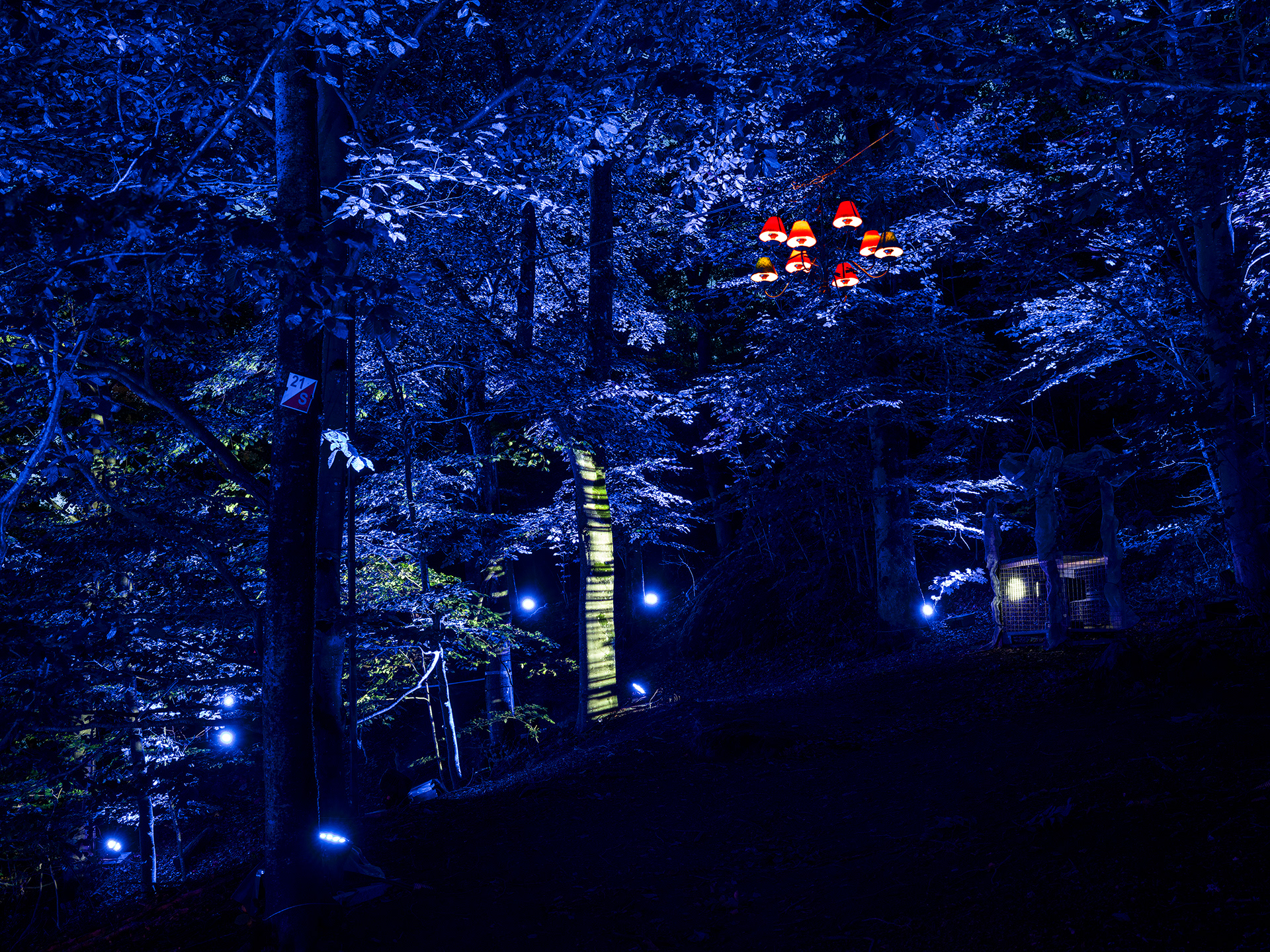 Site 3 | Nolhaga Berg | Stranger Things
