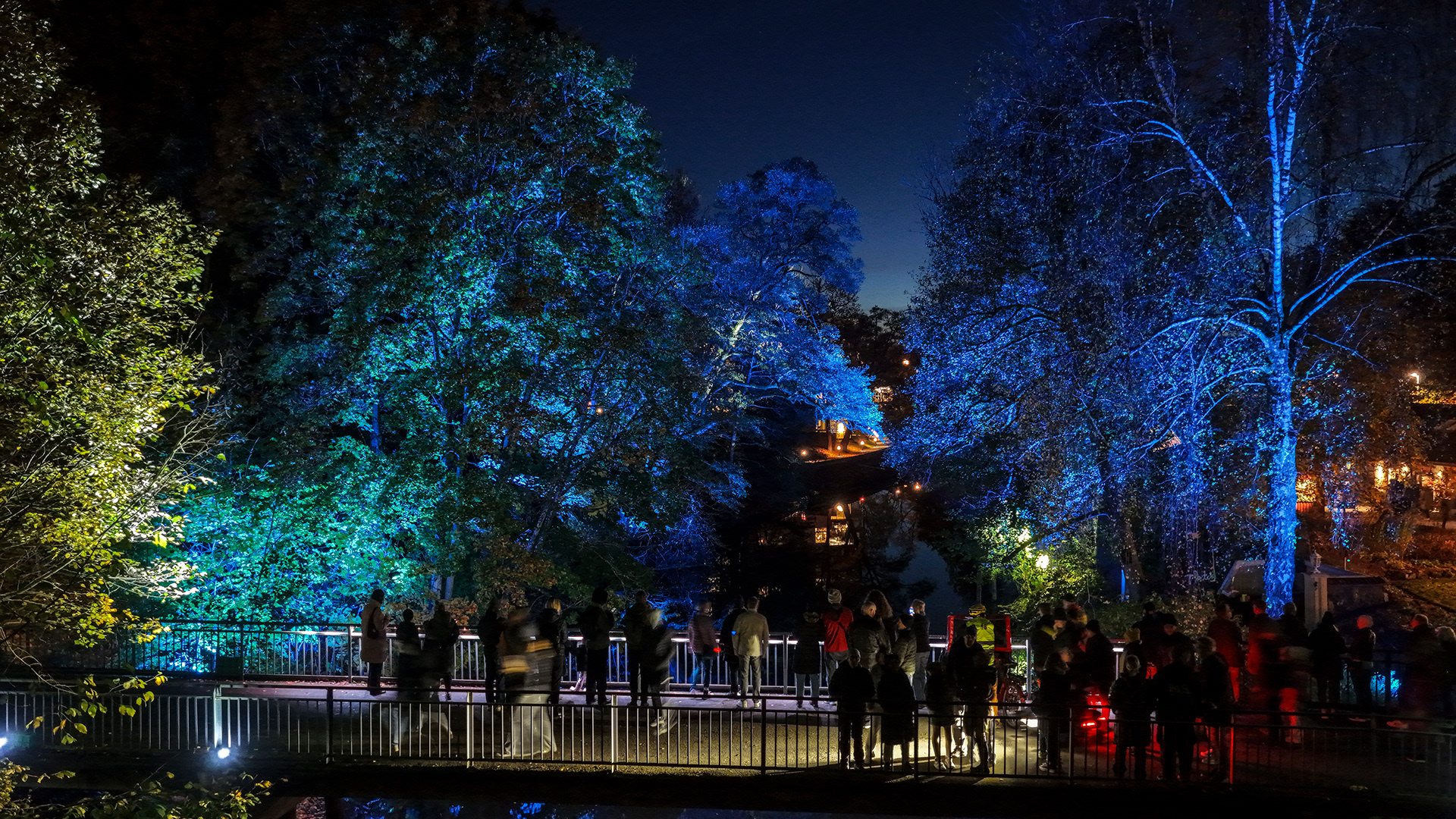 Site 4 | Bron | Döda poeters sällskap