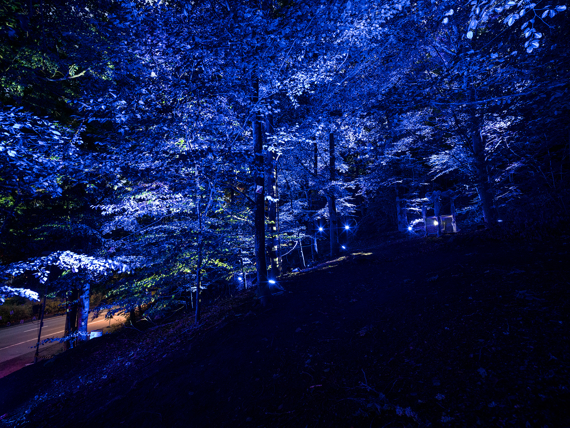 Site 3 | Nolhaga Berg | Stranger Things