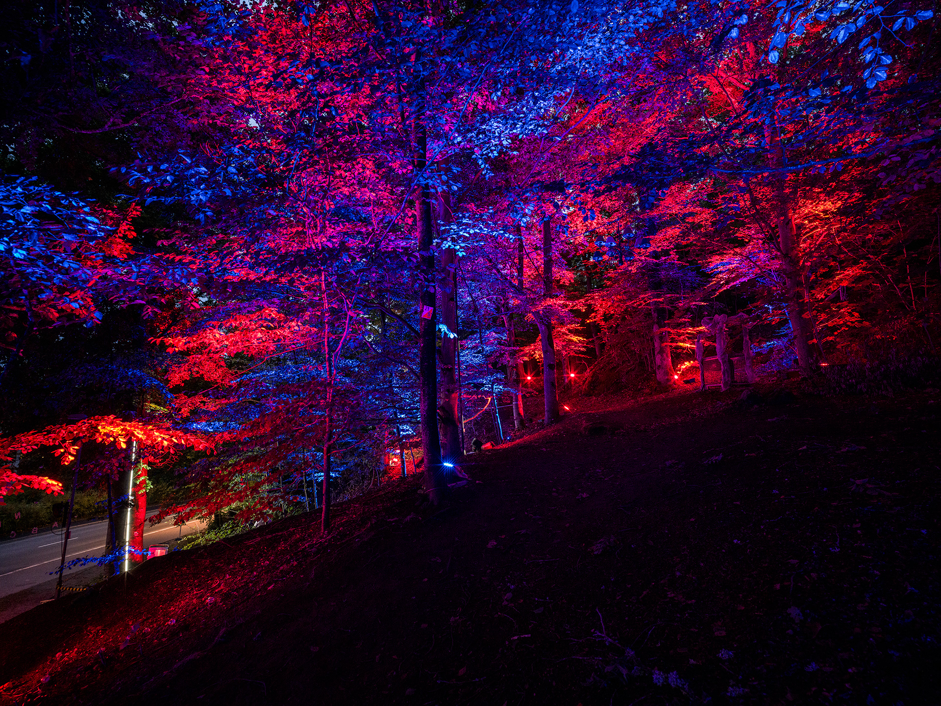 Site 3 | Nolhaga Berg | Stranger Things