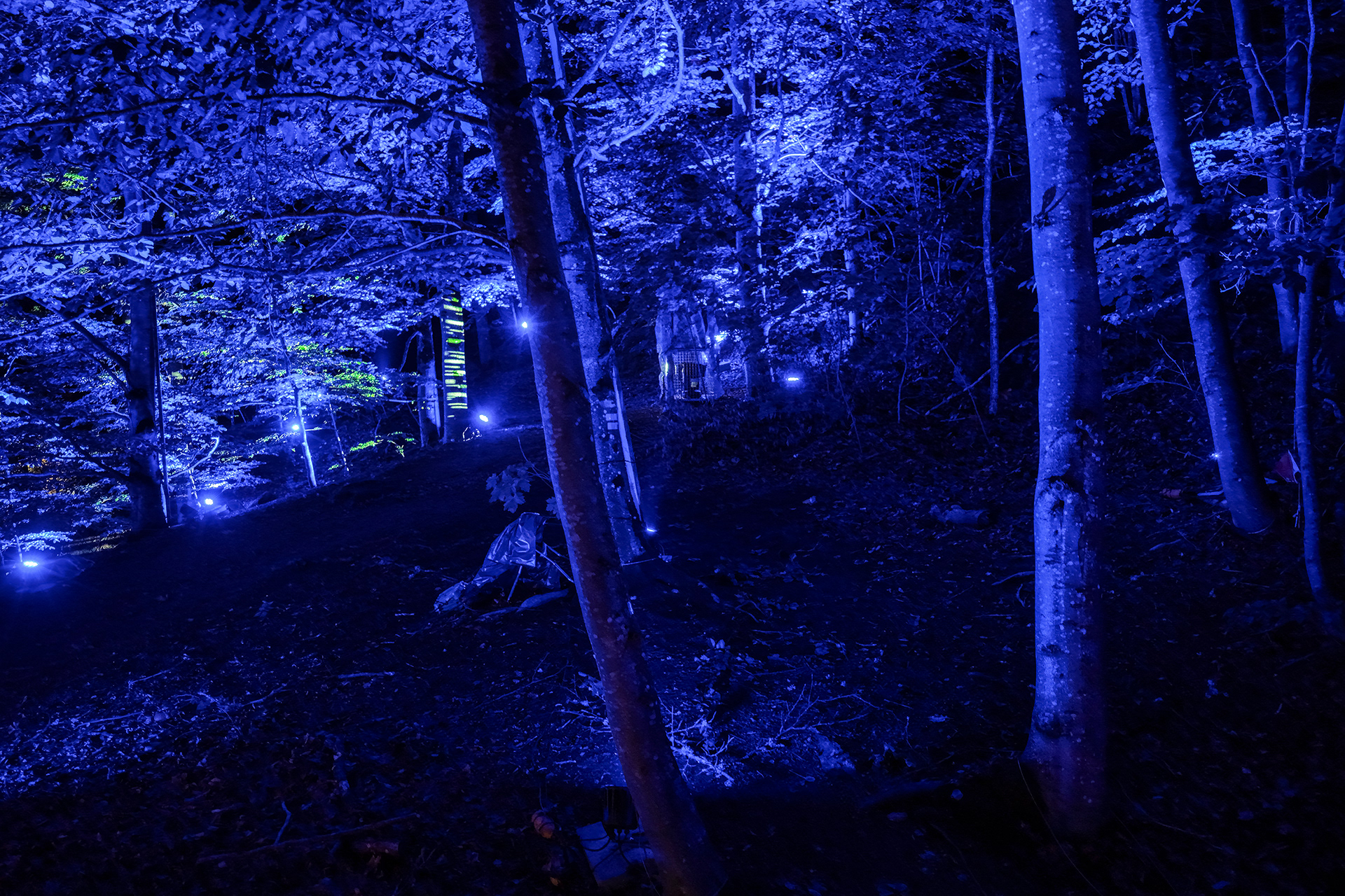Site 3 | Nolhaga Berg | Stranger Things