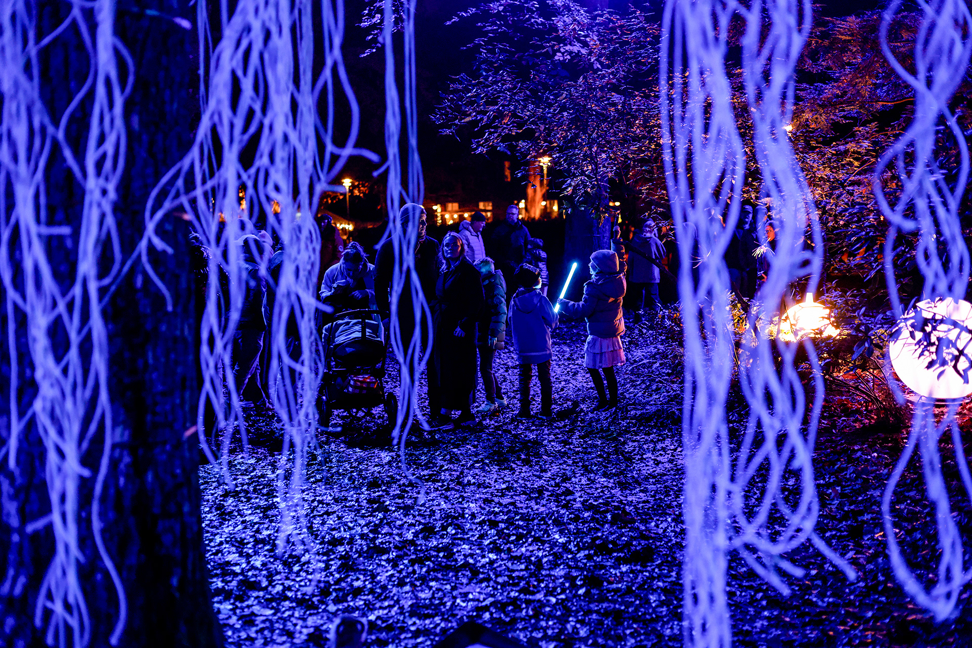 Site 5 | Träddungen | Avatar 