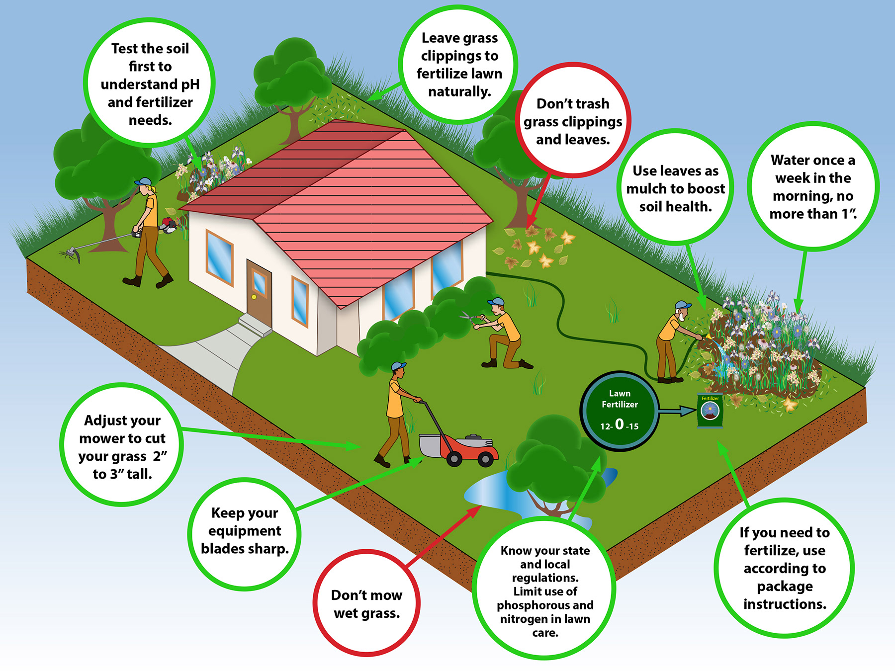 Custom illustration for Think Blue Massachusetts demonstrating best practices for lawn care companies