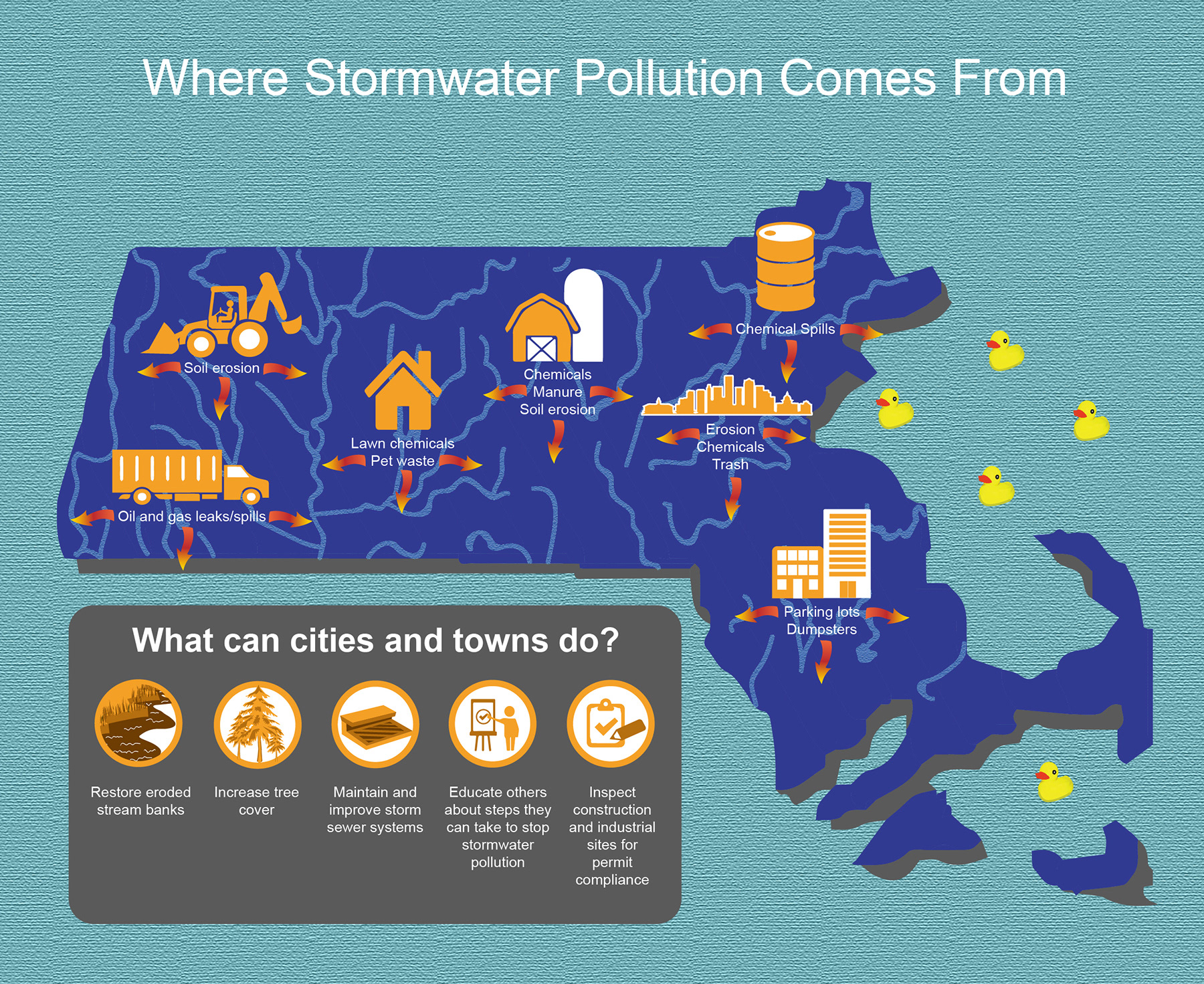 Infographic Illustration demonstrating stormwater pollution sources for Think Blue Massachusetts