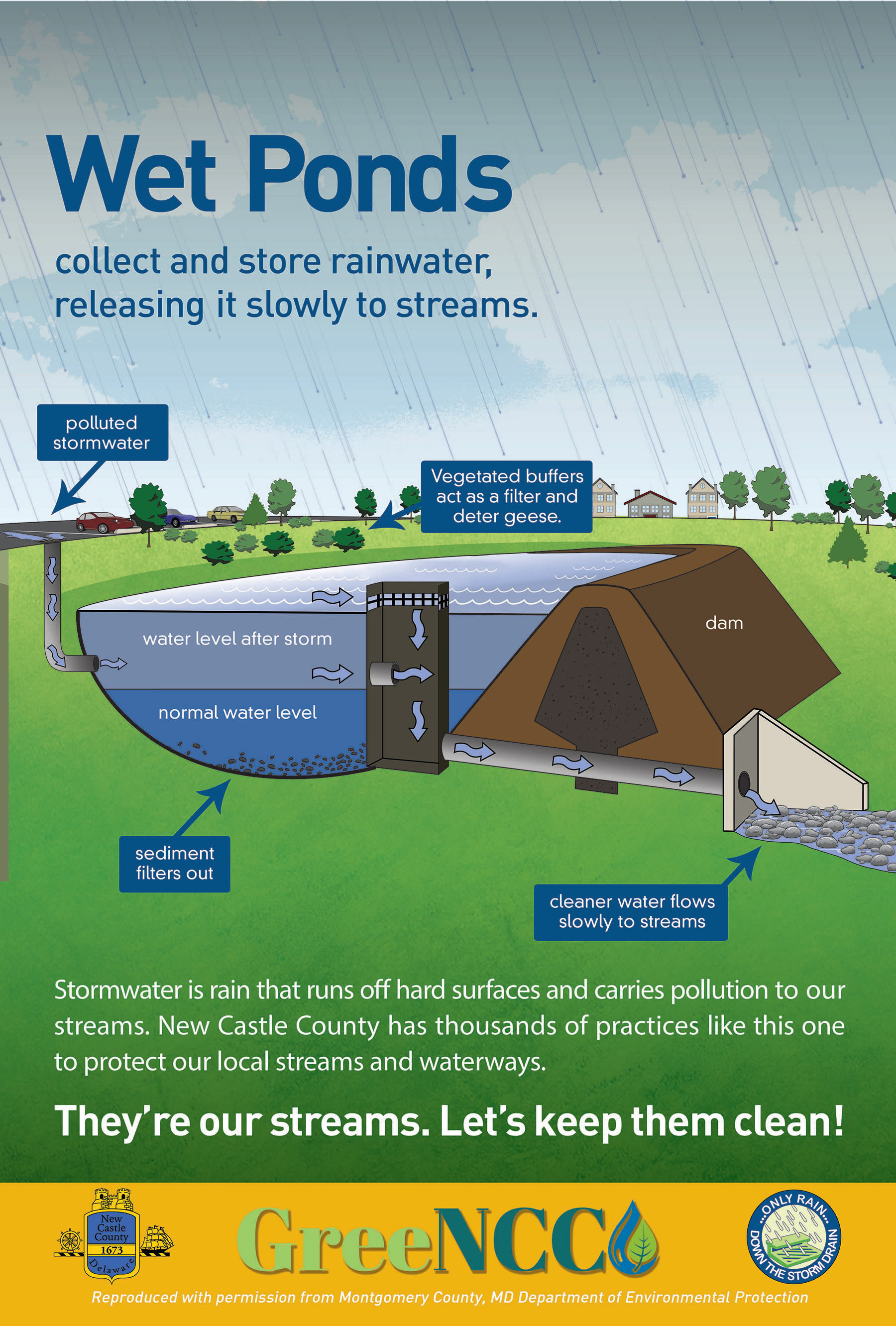 Poster designed for GreenNCC to explain Wet Ponds to the general public
