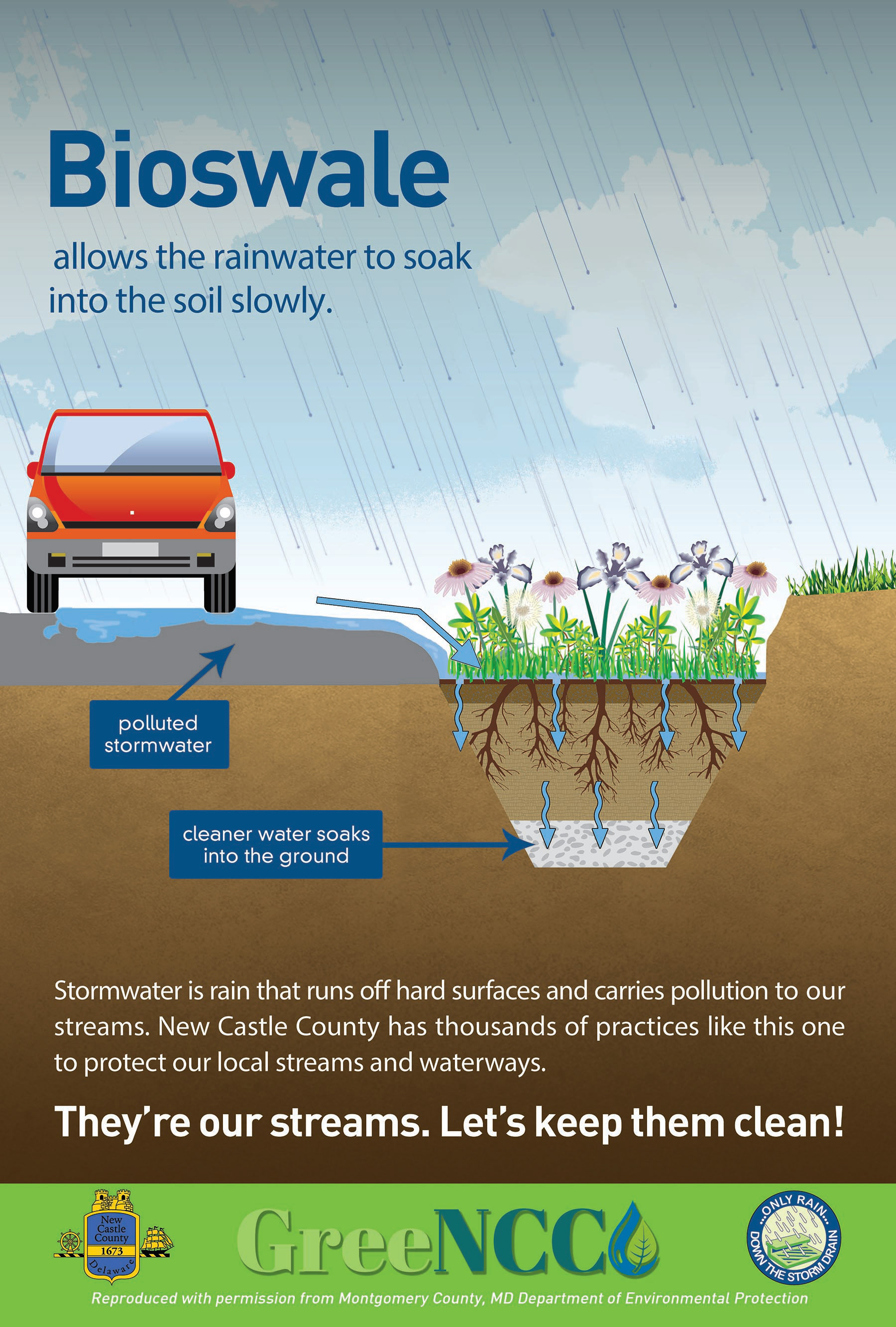 Poster designed for GreenNCC to explain Bioswales to the general public