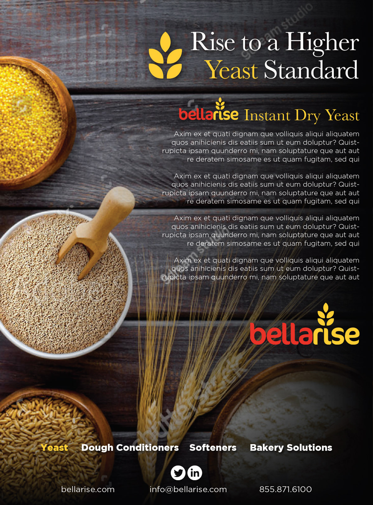 Bellarise Magazine Ad 1