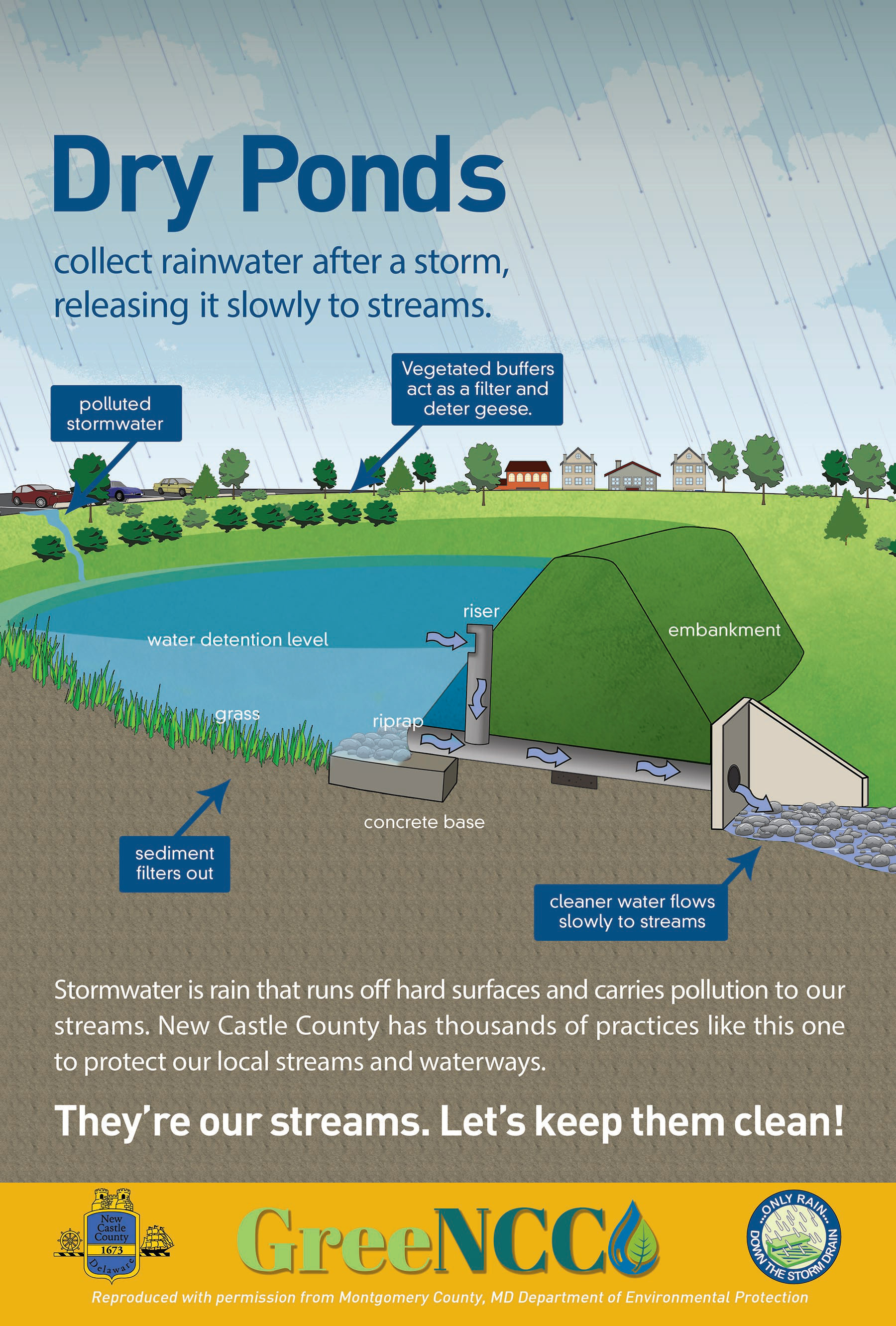Poster designed for GreenNCC to explain Dry Ponds to the general public