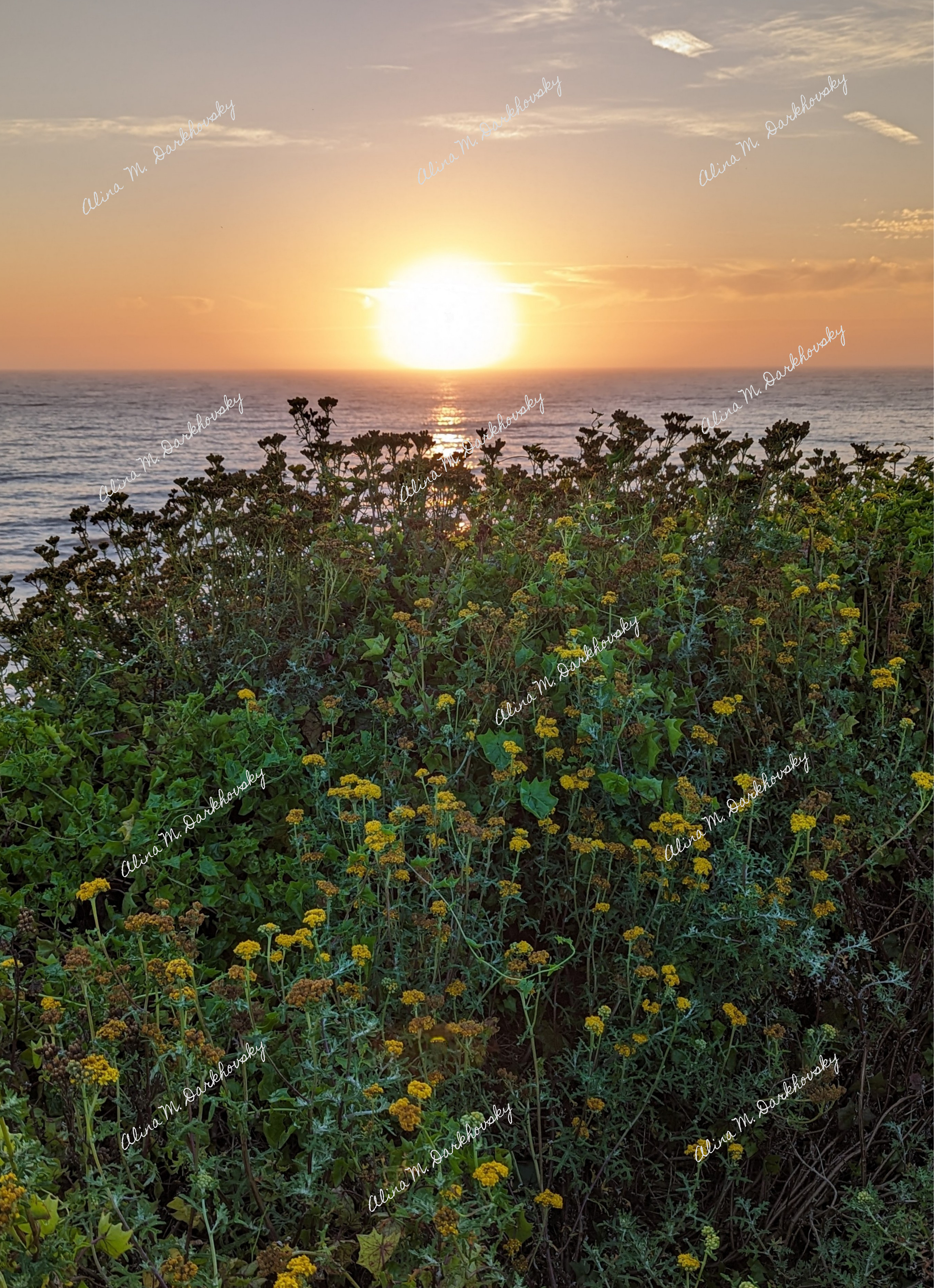 Half Moon Bay, Portugal, Italy, Pacific Ocean, Atlantic Ocean, Ocean, Gorgeous Sunset