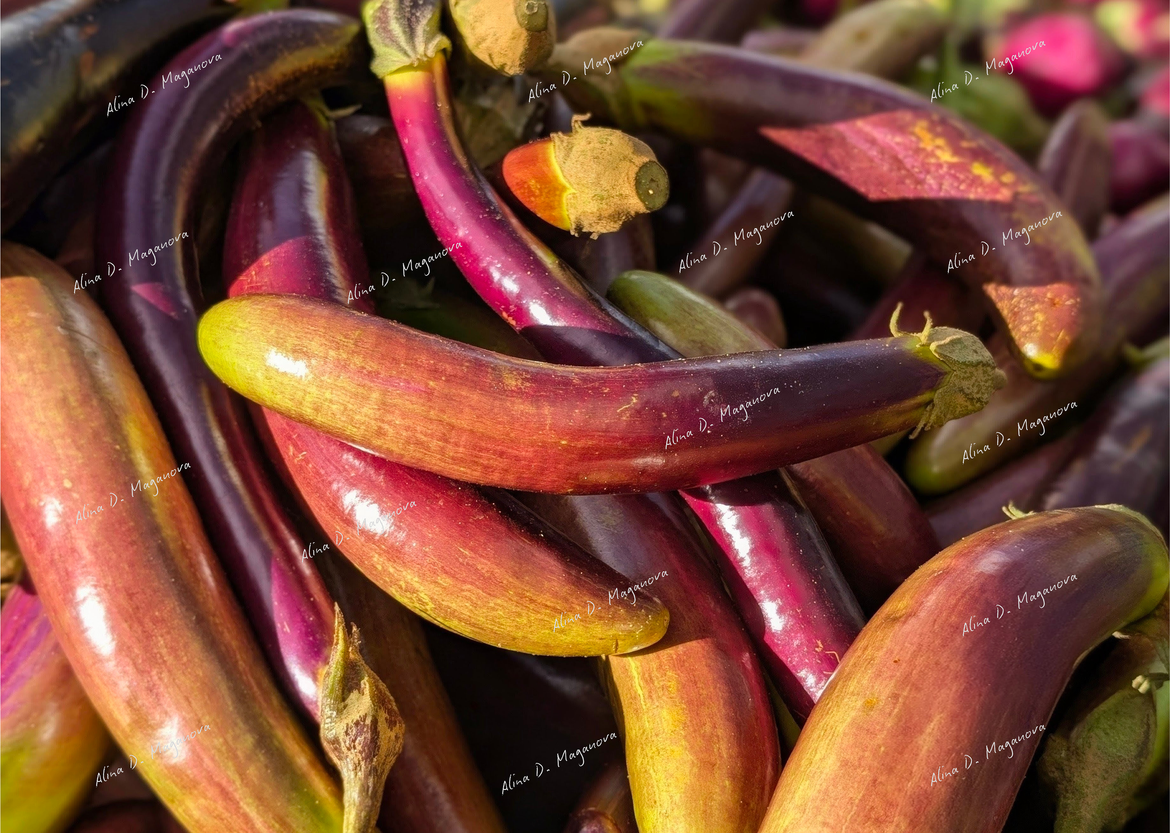 organic eggplants at a farmers market